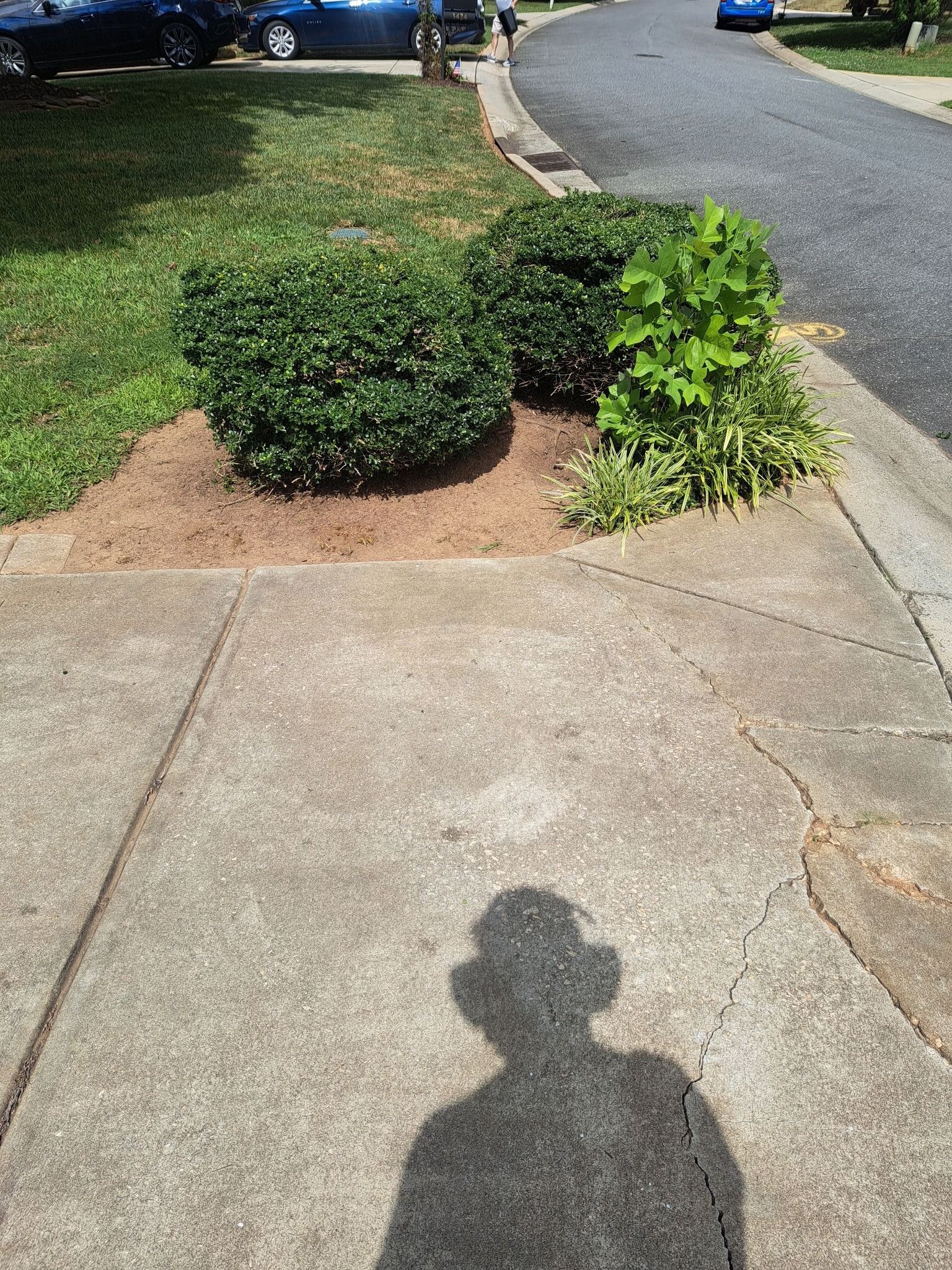 Lawn Care for Dee's Lawn Care Services in Lake Wylie, SC