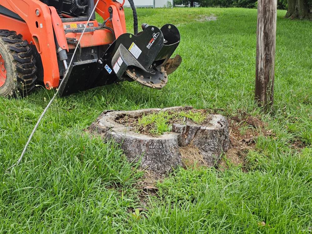 for I and R Stump Grinding in Thornville, OH
