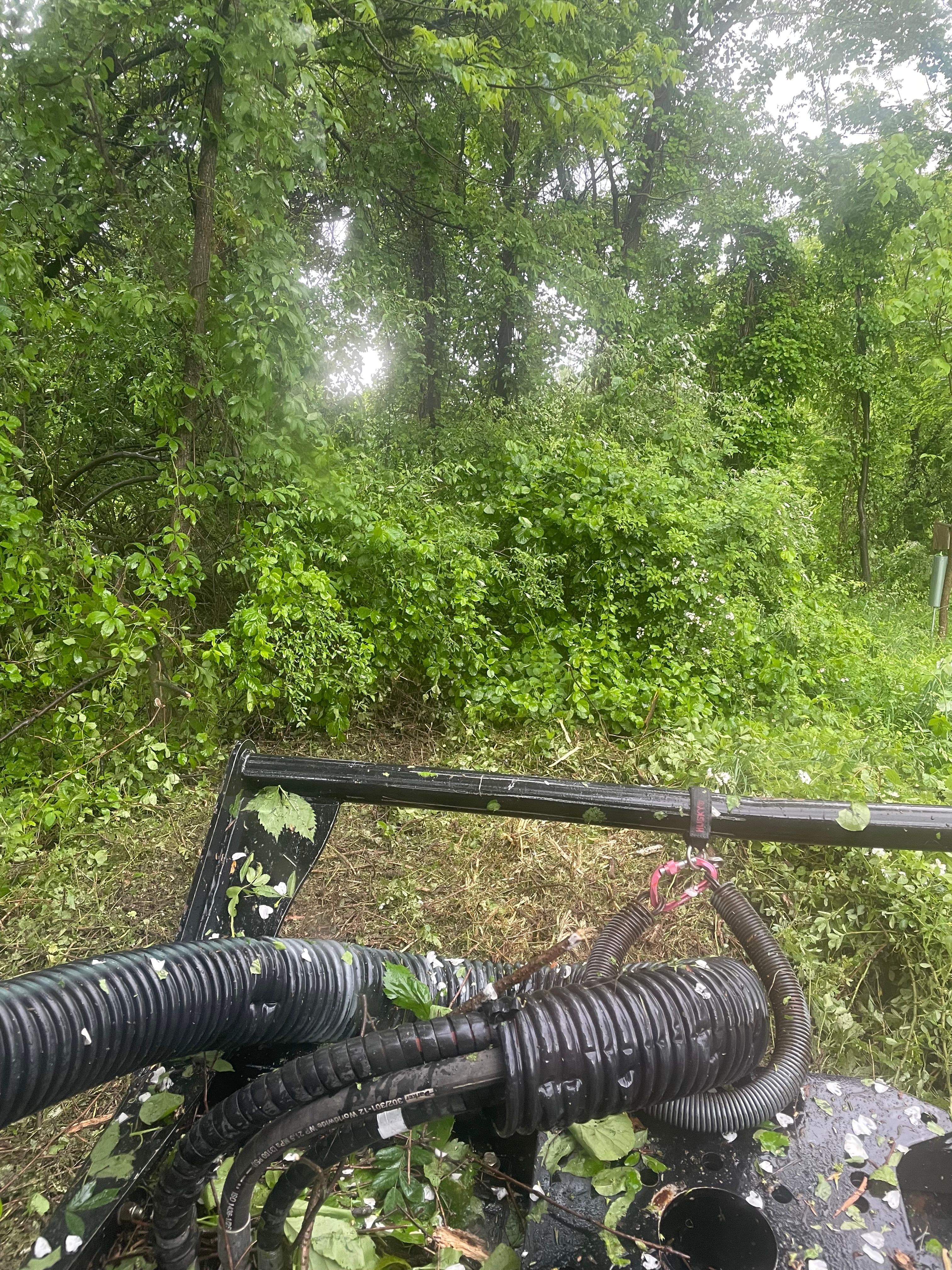  for TMF Services in Lapeer County, MI