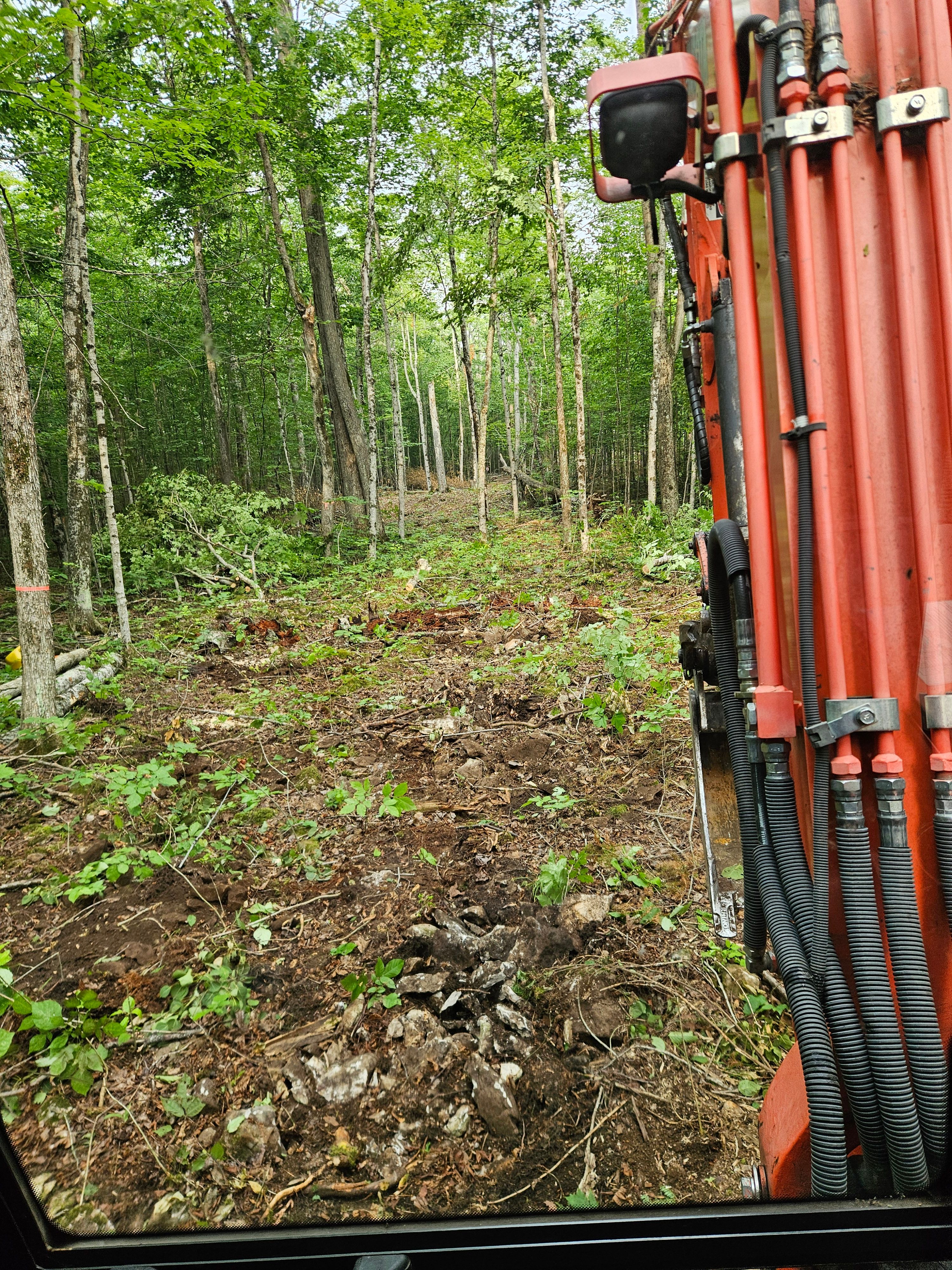 All Photos for T & T Excavating and Property Services in Presque Isle County, MI