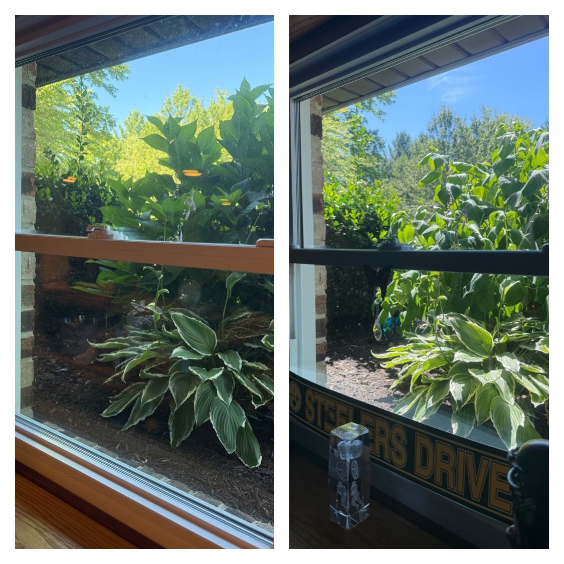  for Wehler’s Clean Windows LLC in Saint Marys, PA