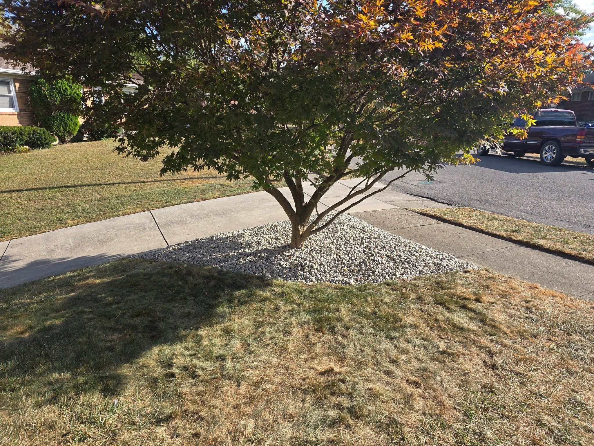 All Photos for Tingley's Green Land Services in Springfield, Ohio