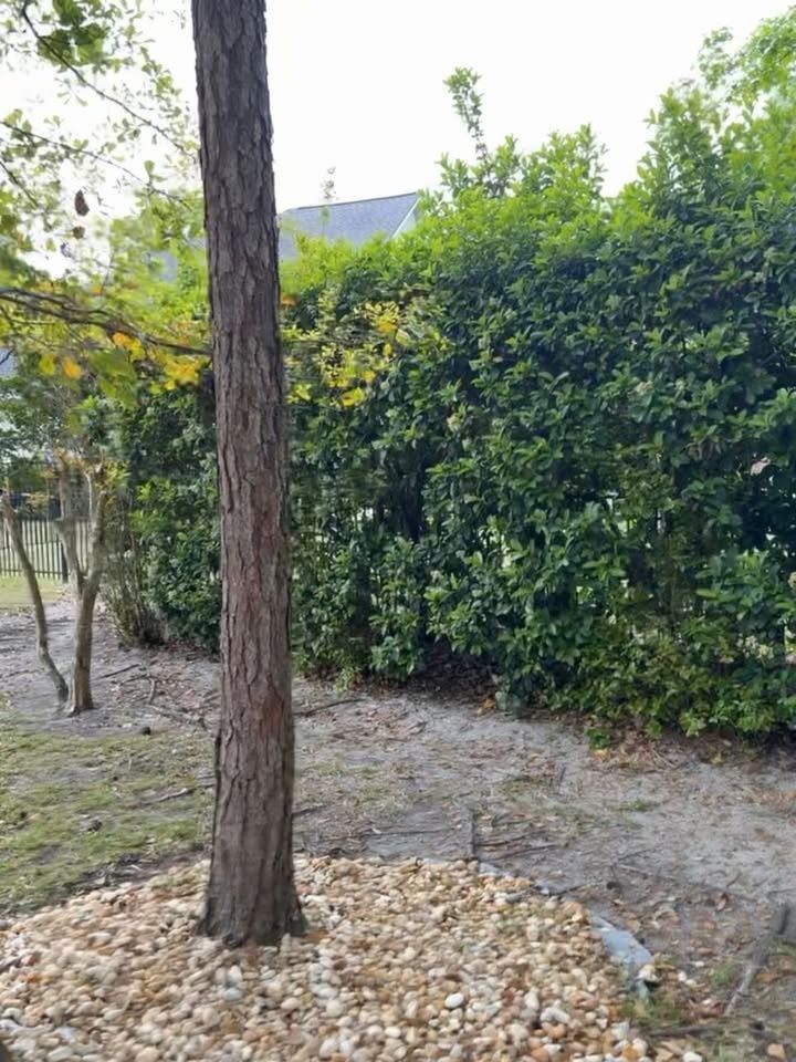  for Whole 9 Yards Services LLC in Green Cove Springs, FL