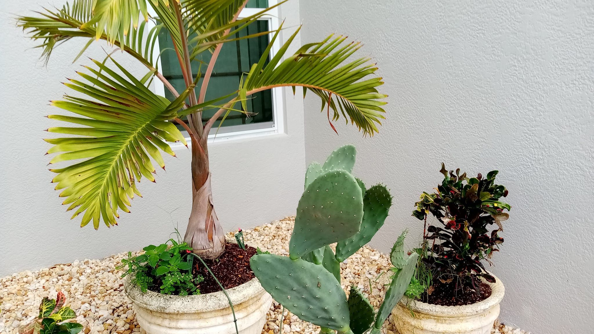  for Keys Yard Maintenance and Handyman in Marathon, FL