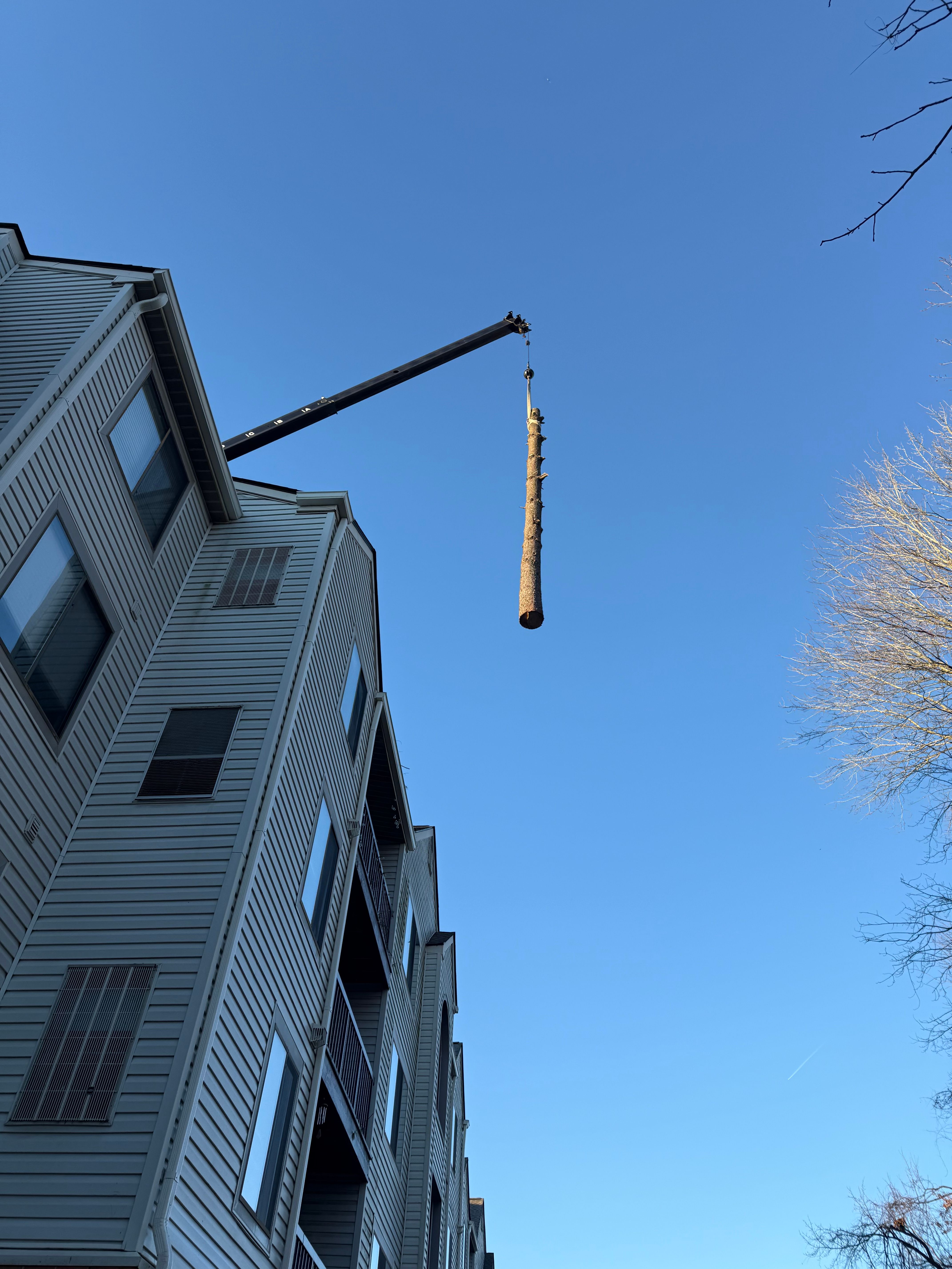  for Branch Out Tree Care LLC in Fredericksburg, VA