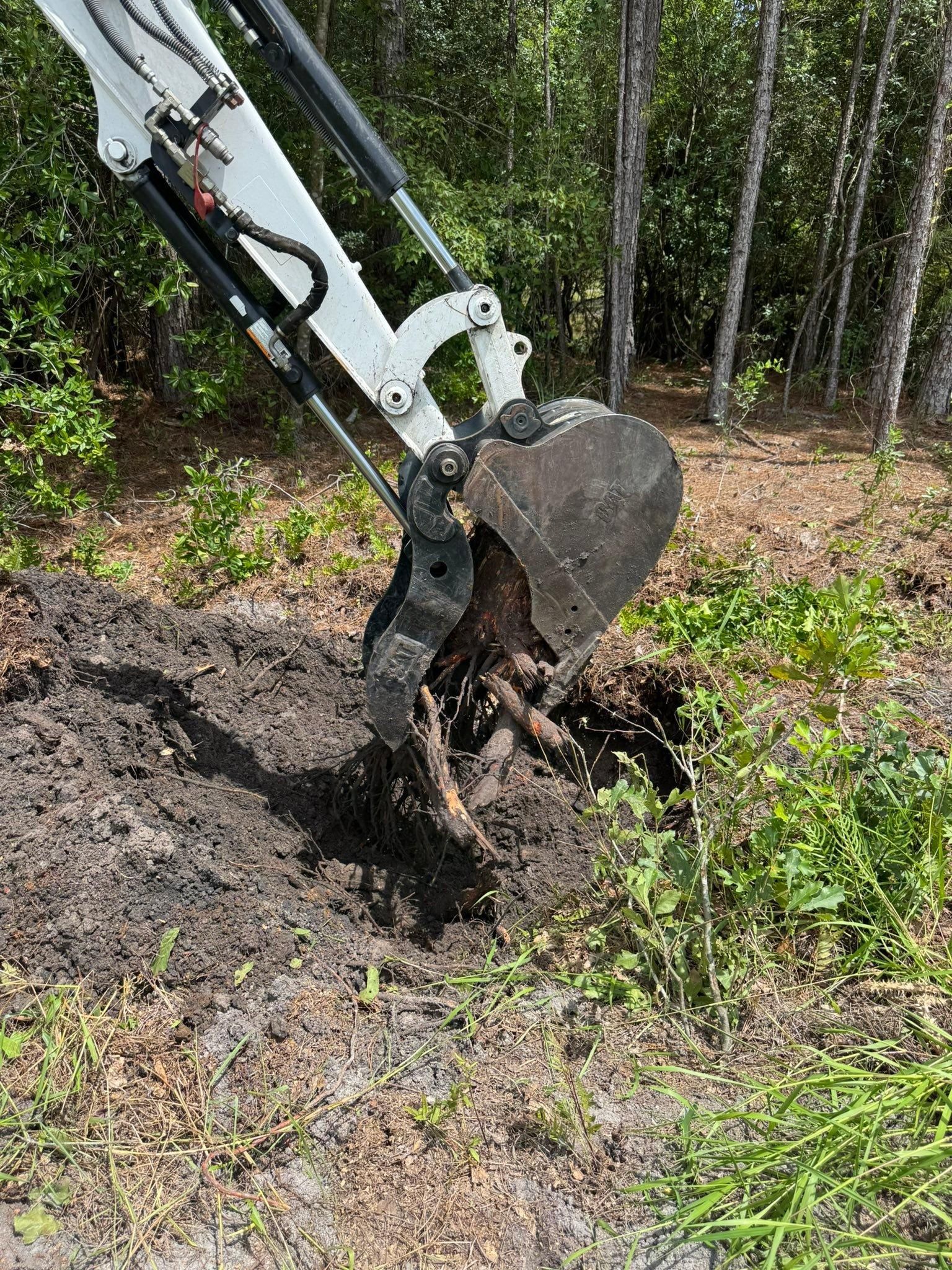  for DLC Land Clearing in Glen Saint Mary, FL
