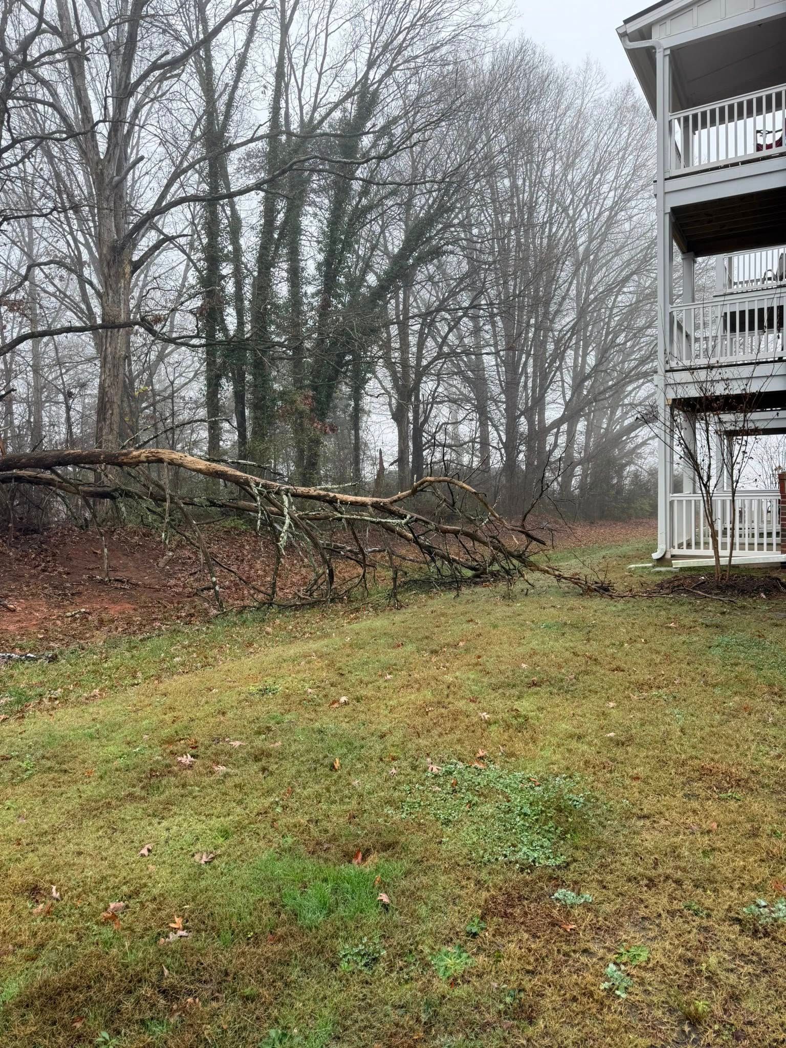  for Down South Tree Care and Landscaping in Maiden, NC