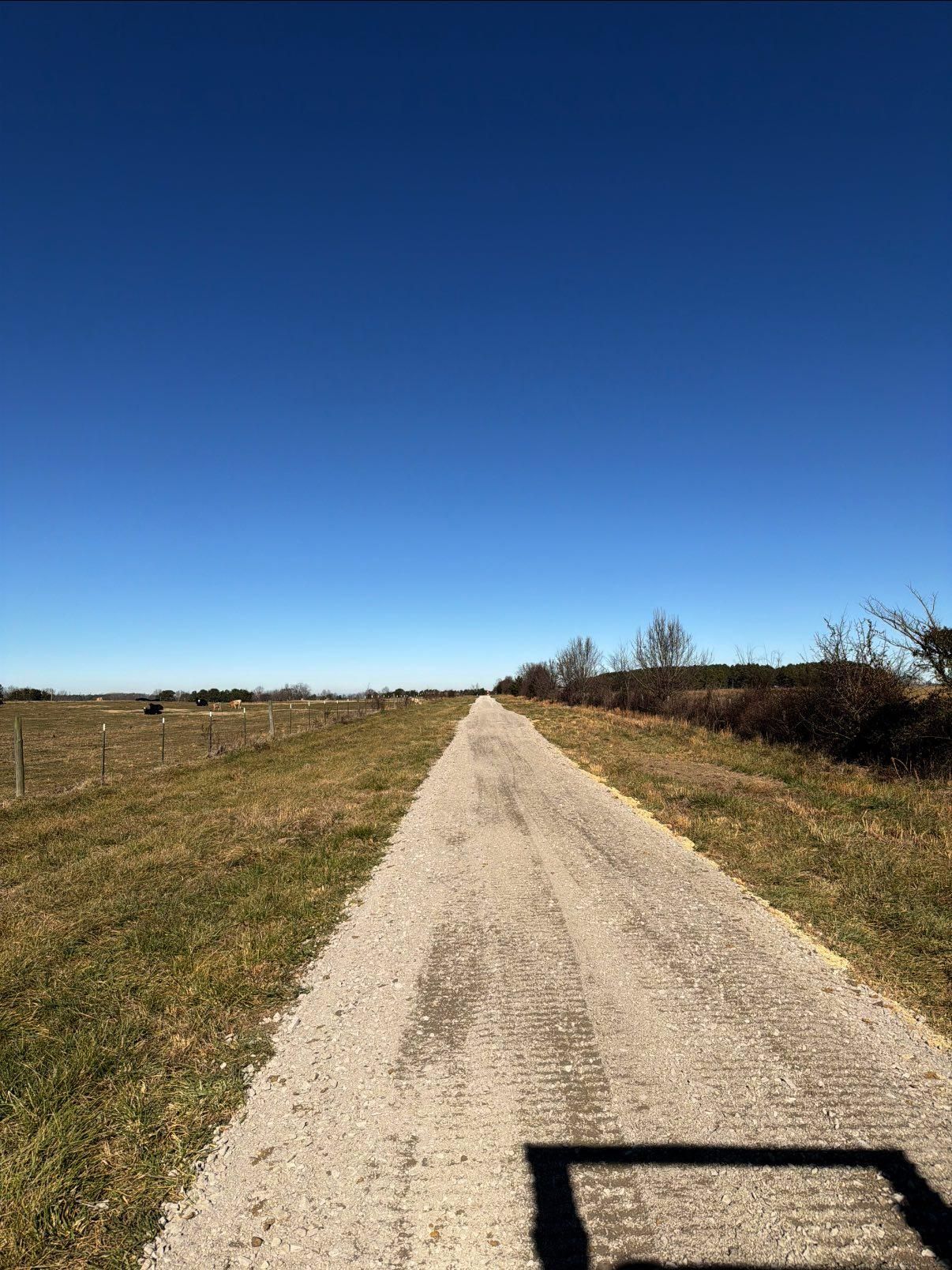  for Collins Constructors in Fyffe, AL