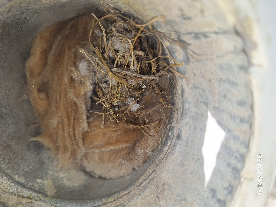 All Photos for Soapy Suds Services in St. Charles, IL