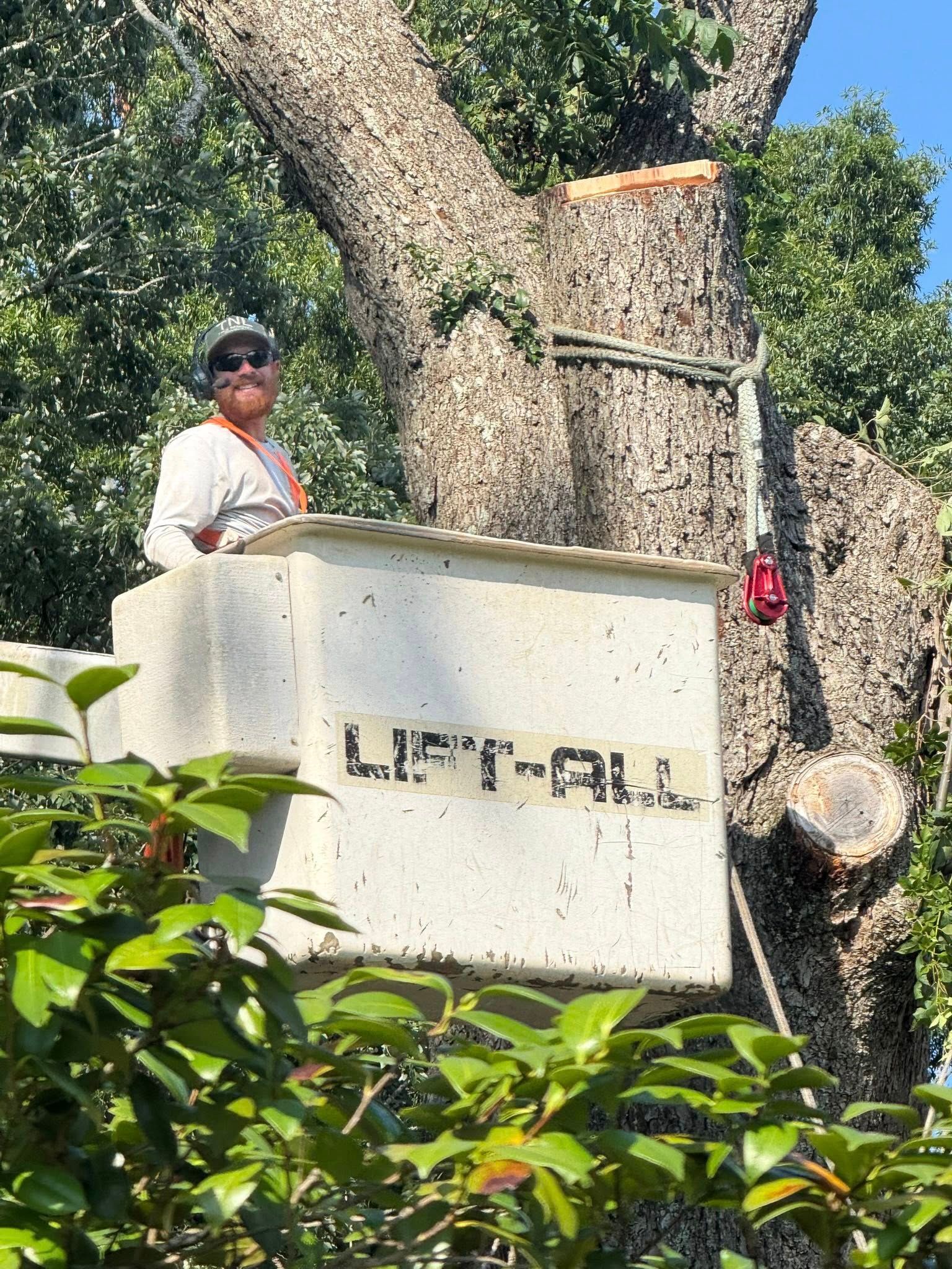  for T N L - Tree and Land Service in Reynolds, GA