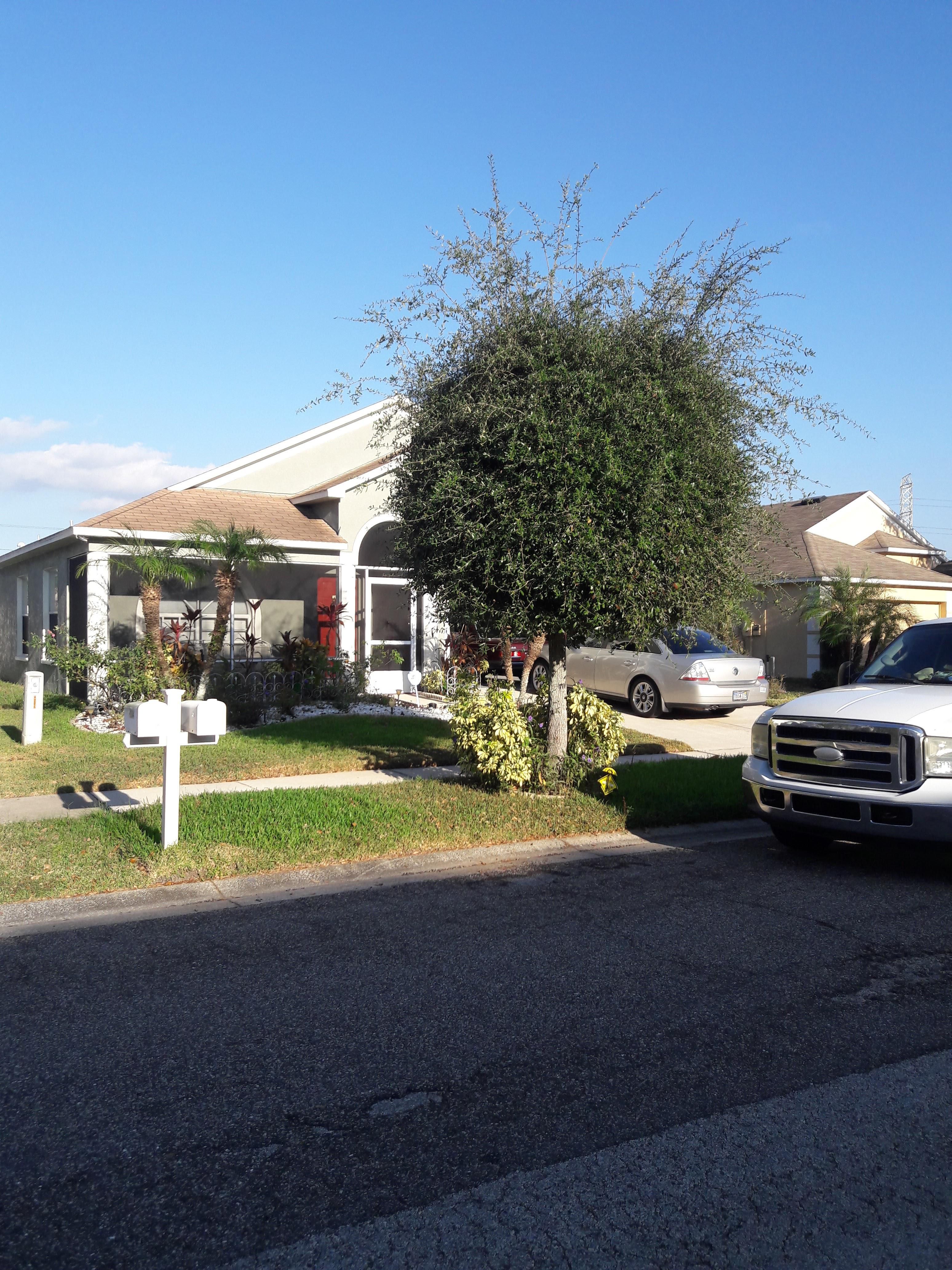  for 1 Friendly Lawn Service in Tampa, FL