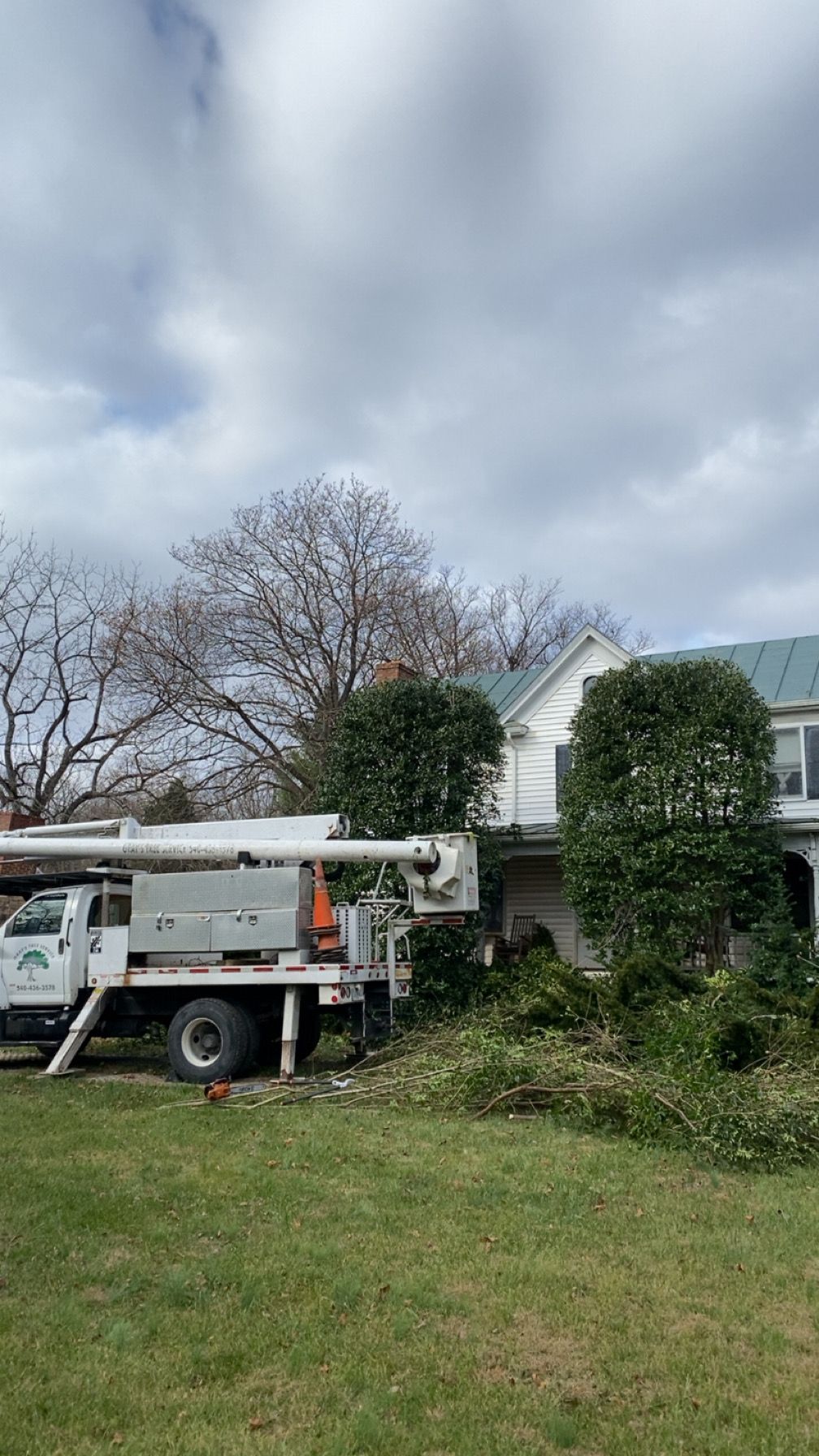 All Photos for Gray's Tree Service Inc in Maurertown, VA