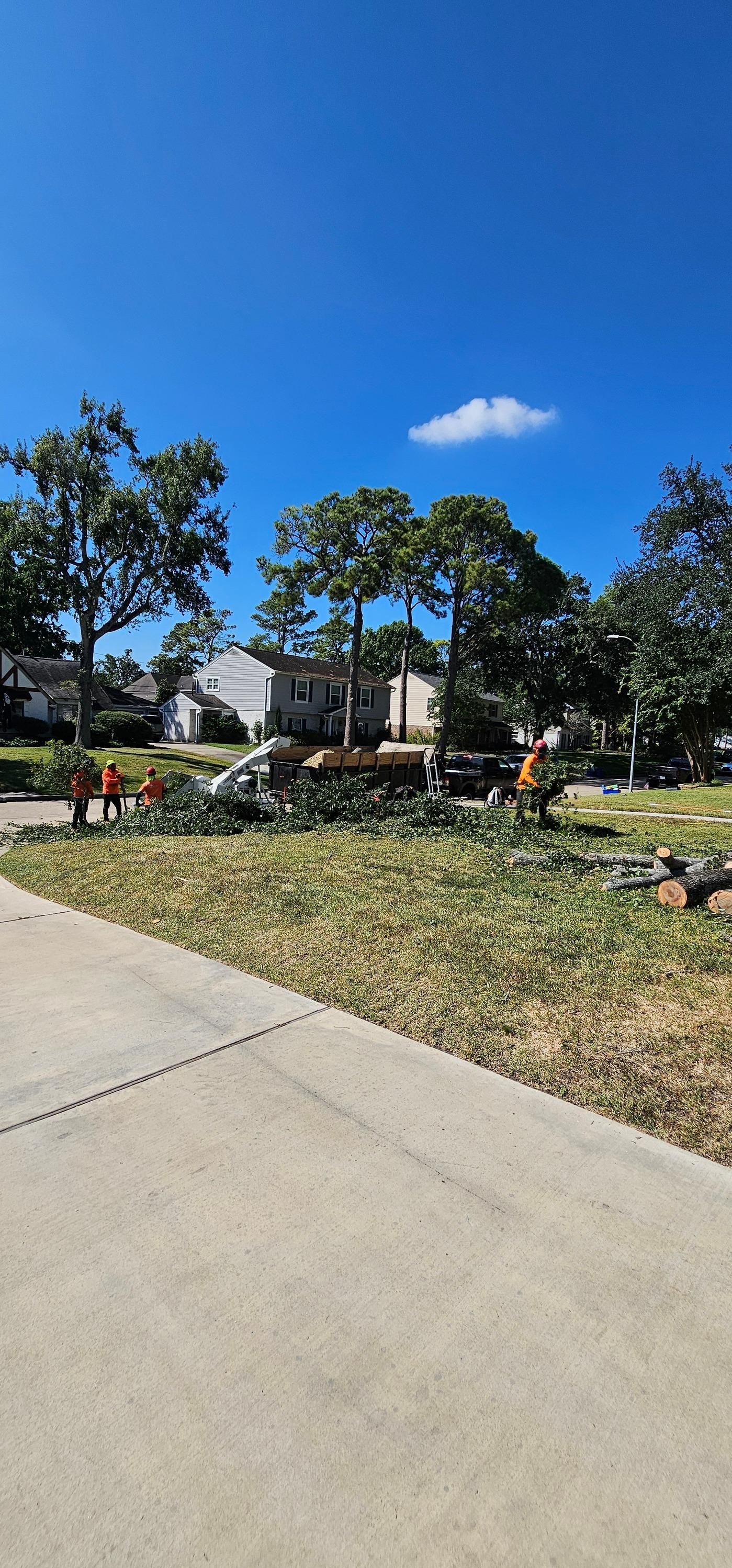  for Servin's Tree Care  in Houston, TX