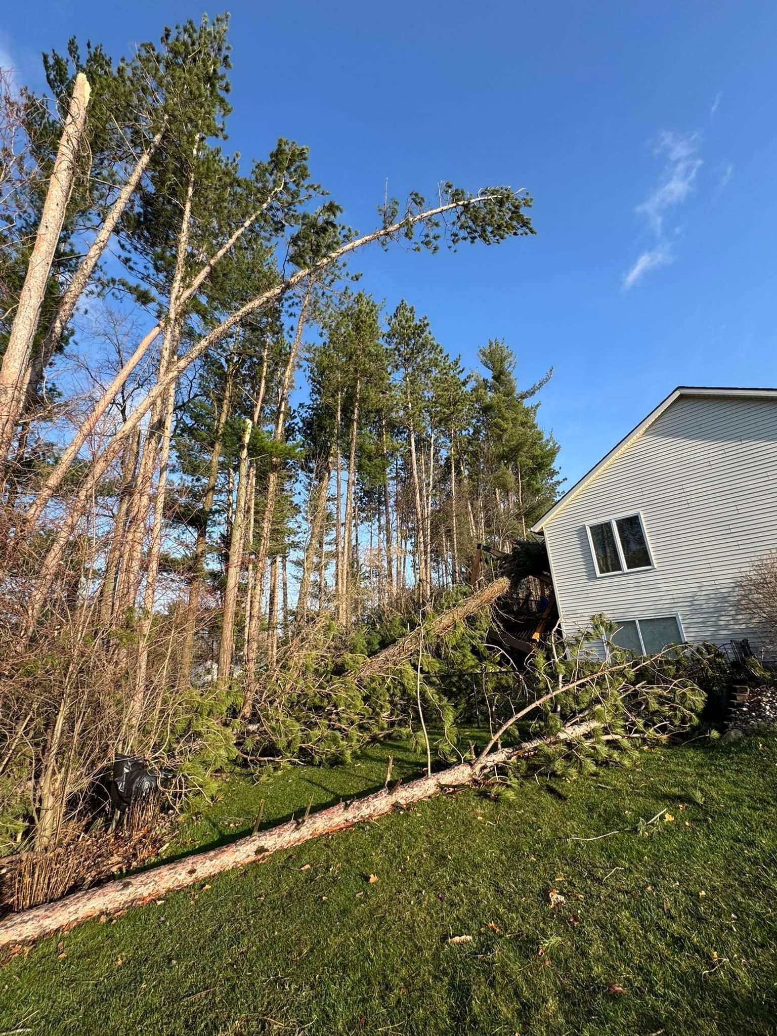  for Branching Out Tree Service in Hastings, MI