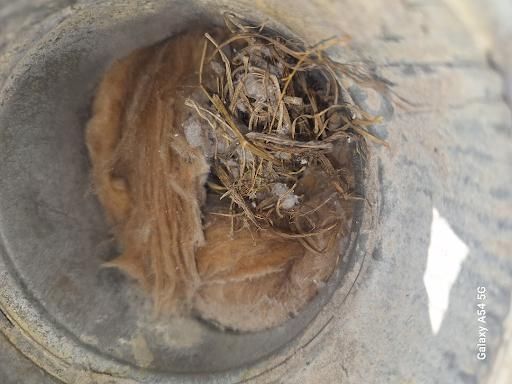 All Photos for Soapy Suds Services in St. Charles, IL