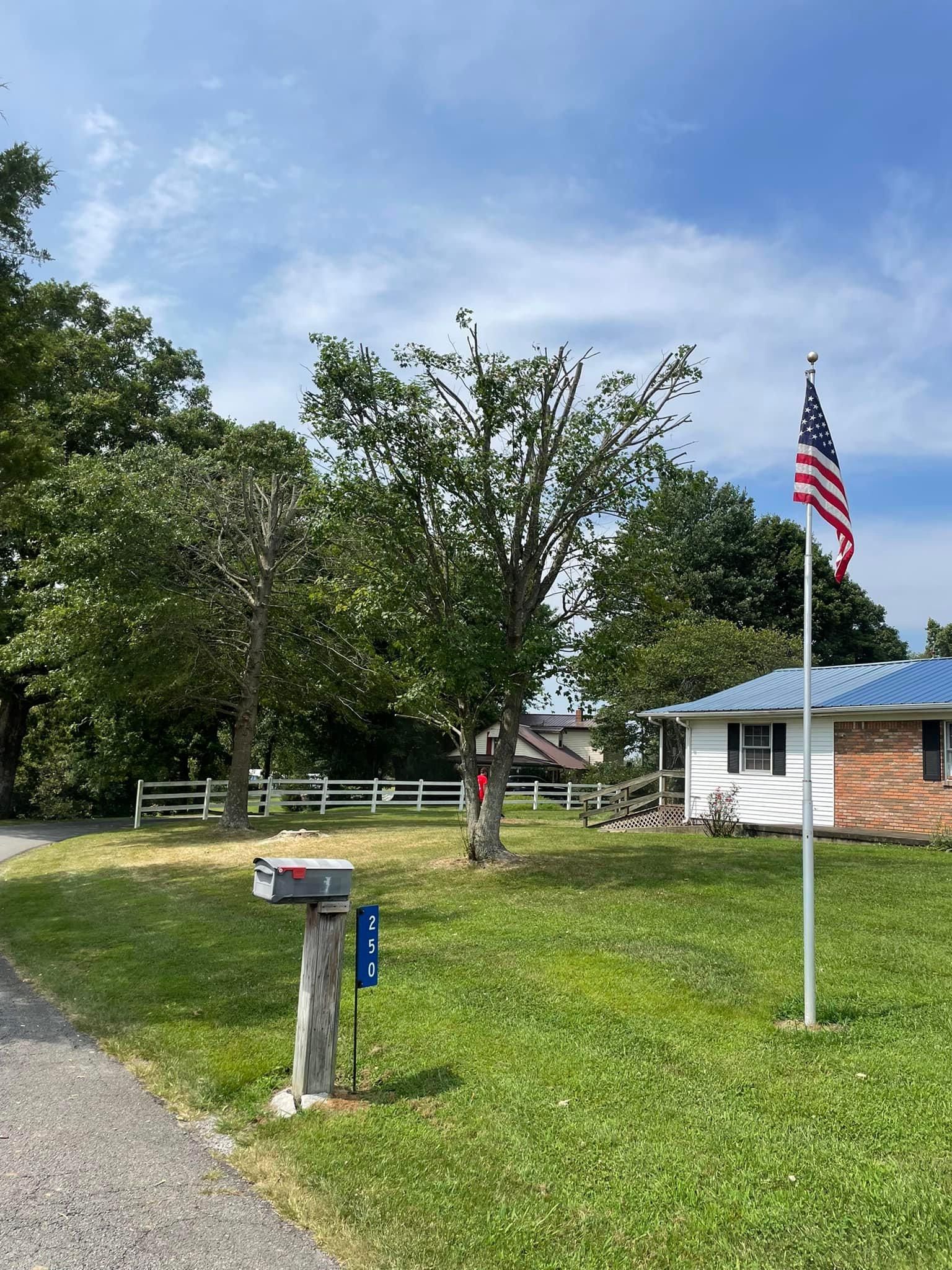 Fall and Spring Clean Up for Atwood’s Tree Care in Liberty,  KY