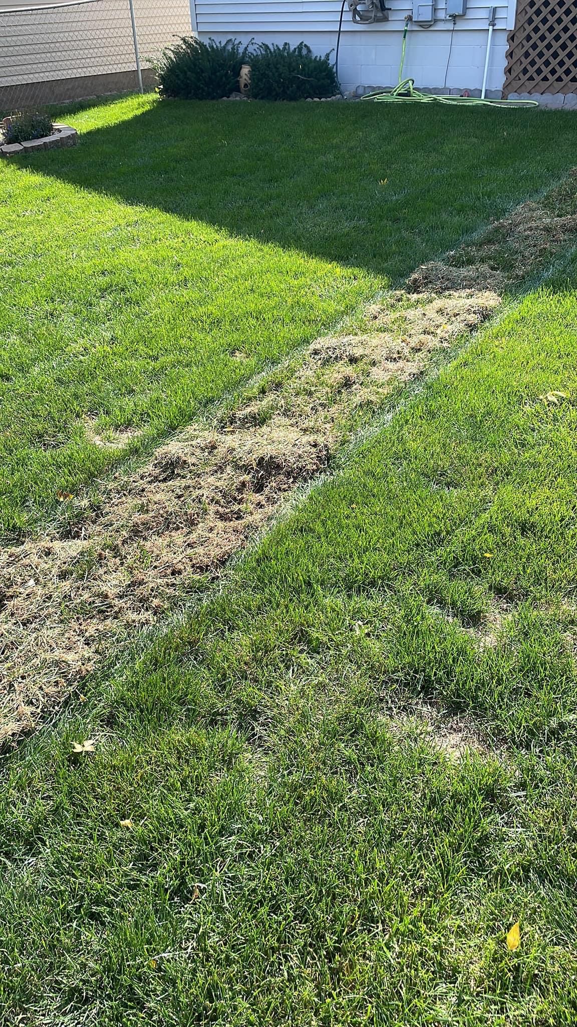  for Jacks Lawn & Landscape LLC  in Hastings, NE