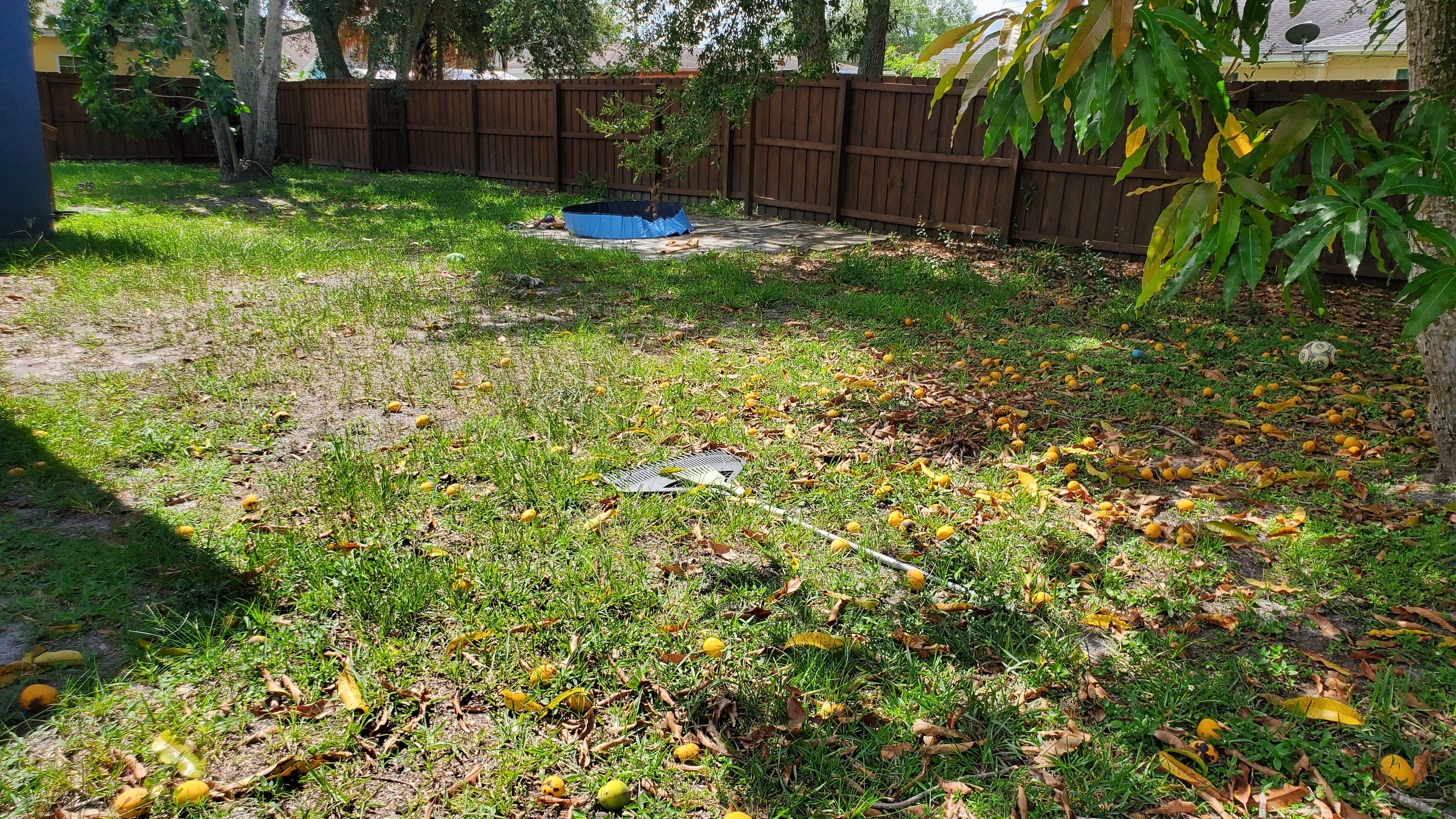  for 1 Friendly Lawn Service in Tampa, FL