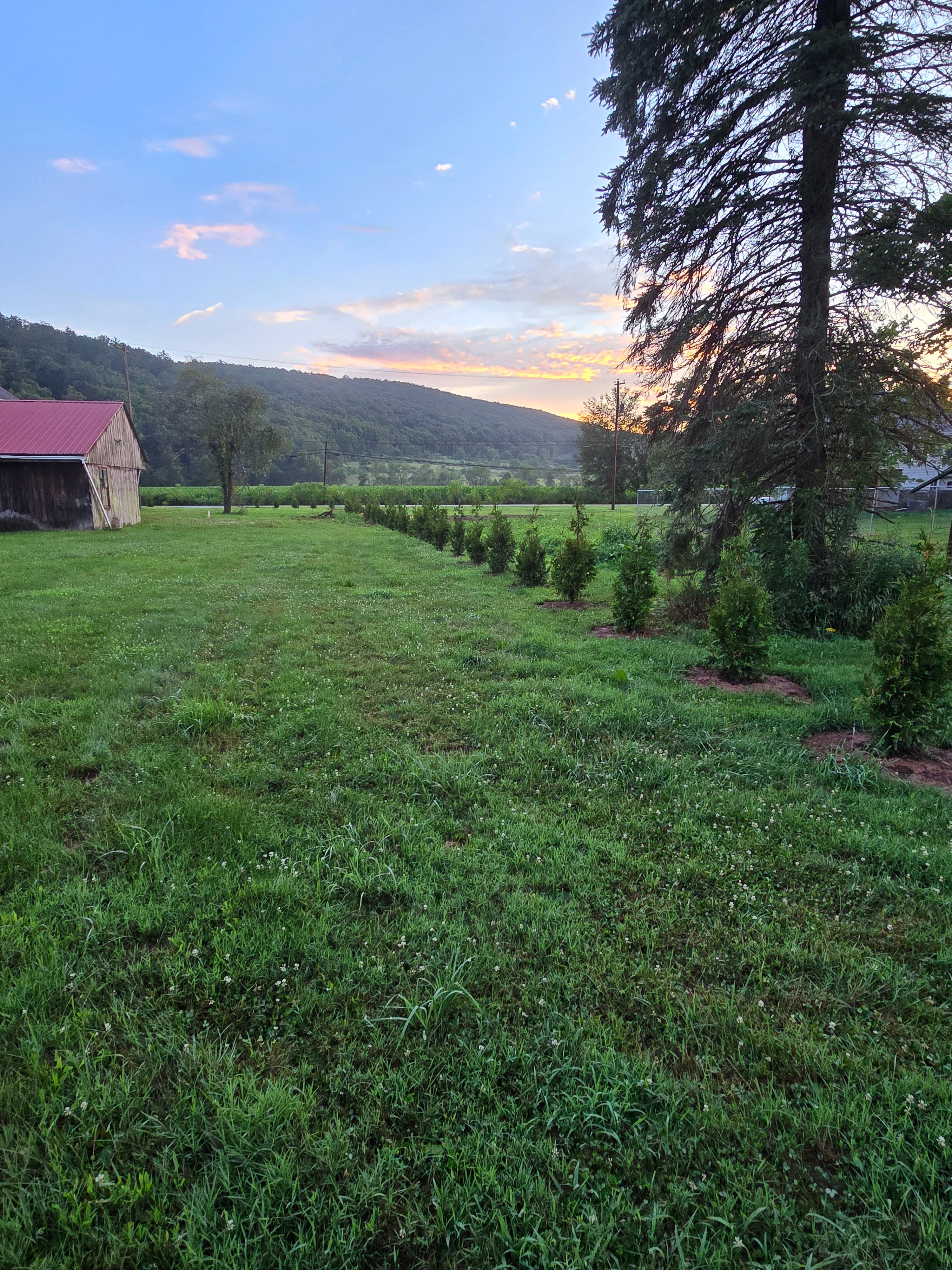  for Down Home Landscaping in Stillwater, PA