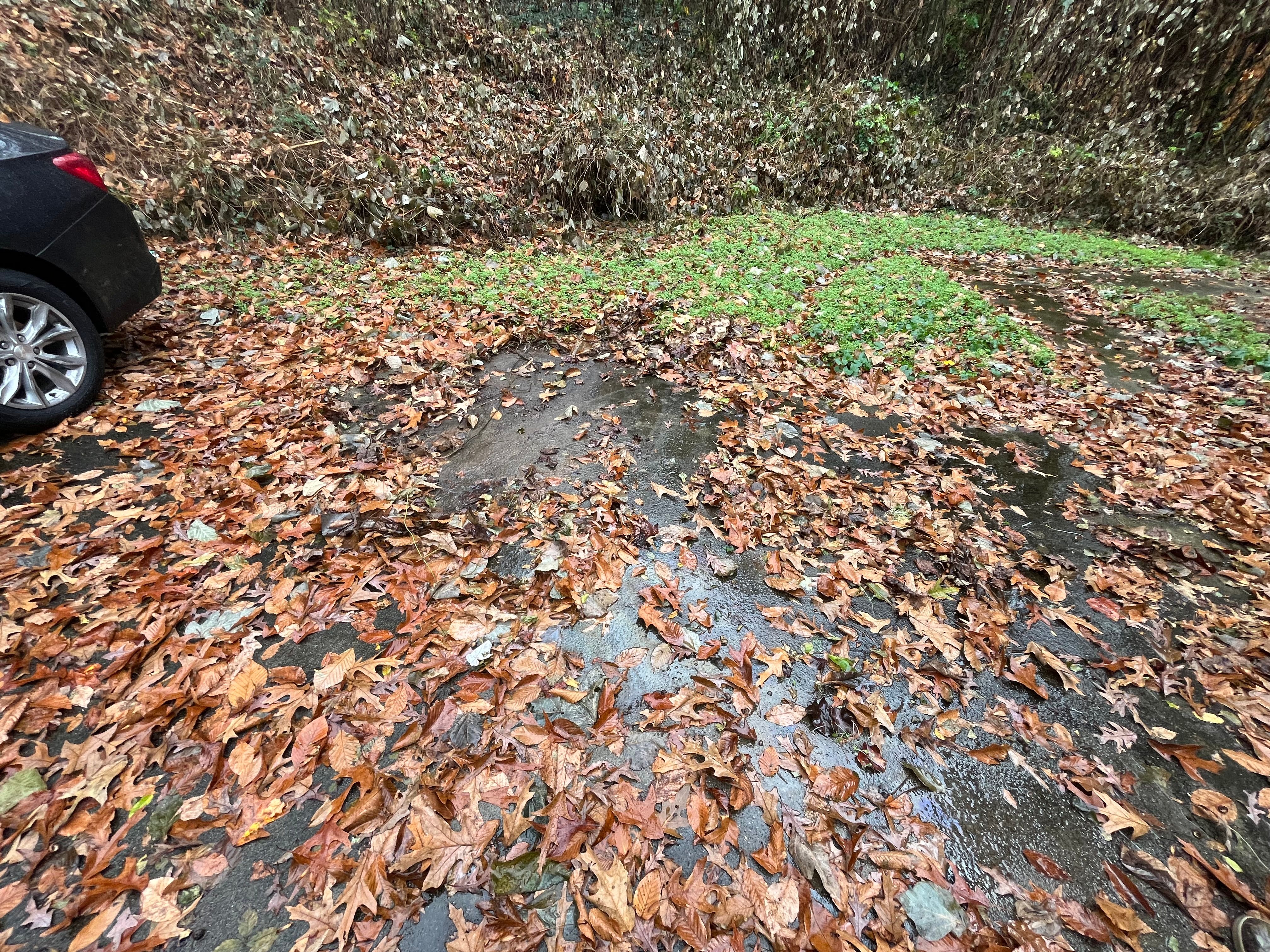  for Southern Solutions in Snellville, GA