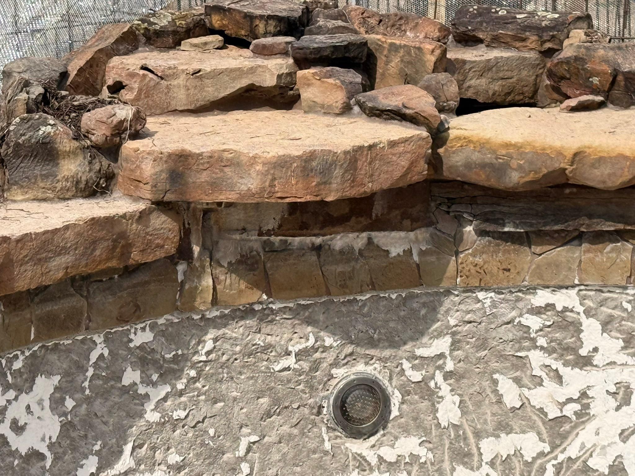  for 123 Pool Renovations in Houston, TX