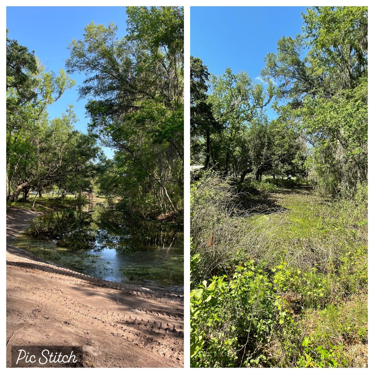 All Photos for Cooks Aquatic Excavating in Weirsdale, FL