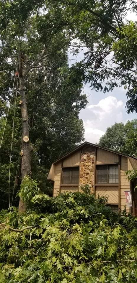  for DNA Tree Service in Birmingham, AL