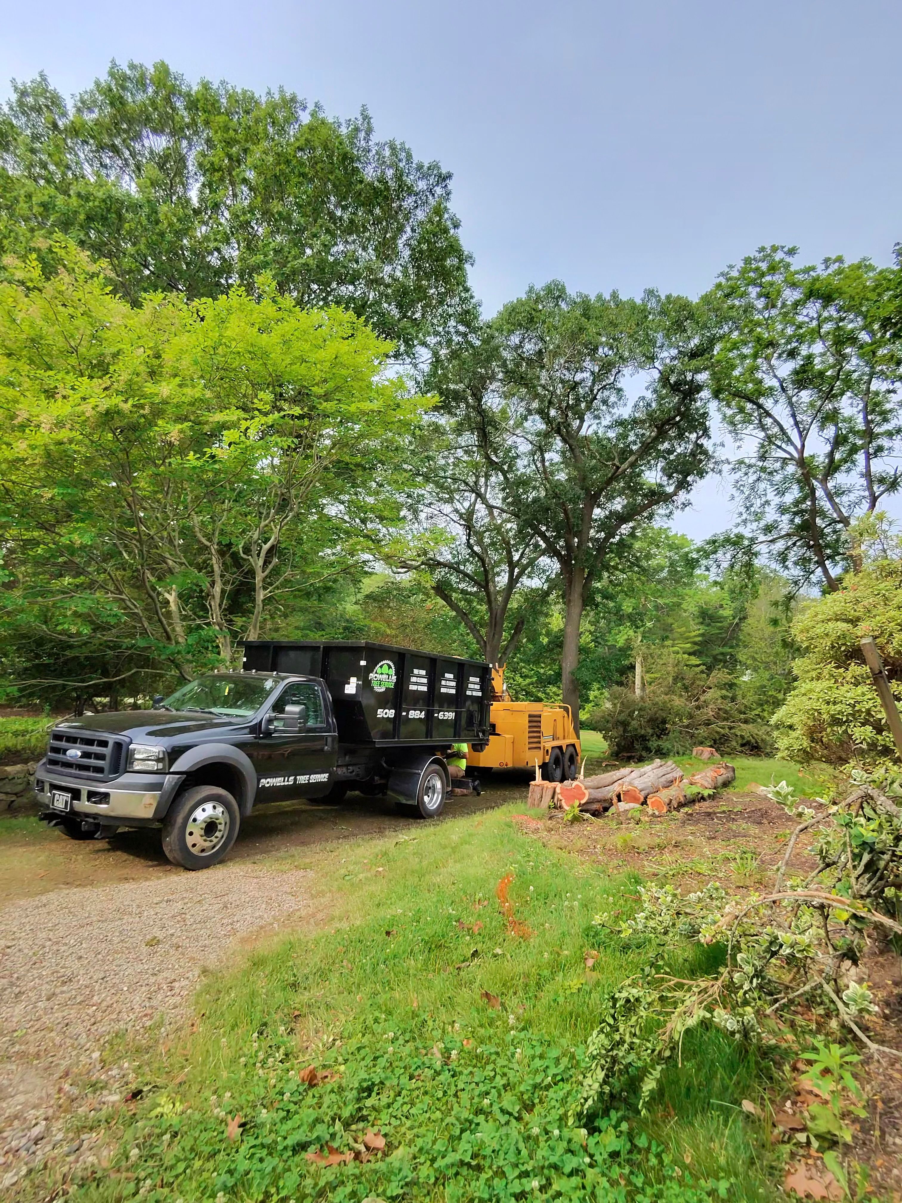 for Powell Tree Service Inc.  in Cape Cod, MA