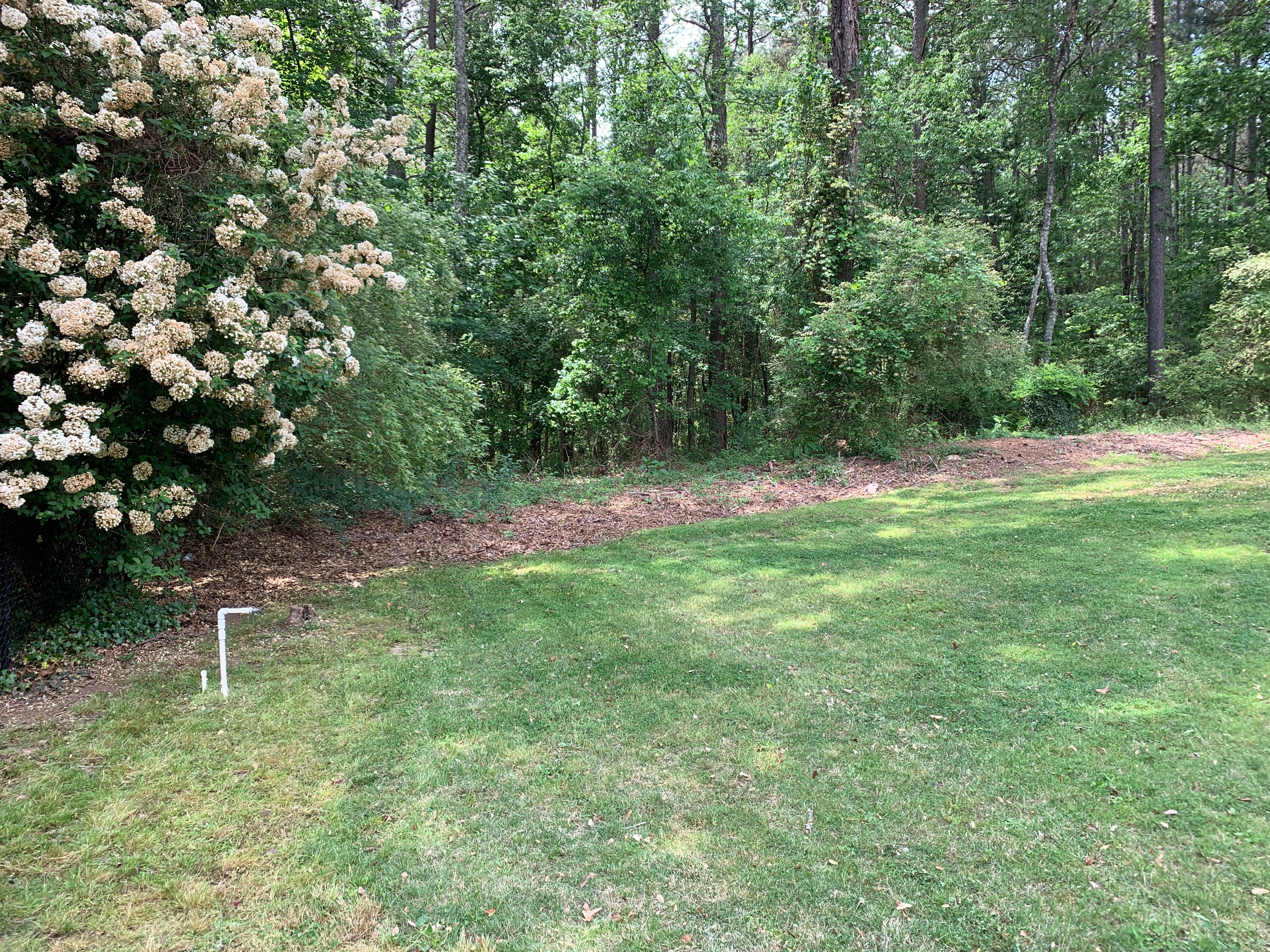  for Clark's Cuts Lawn Care in Lilburn, GA