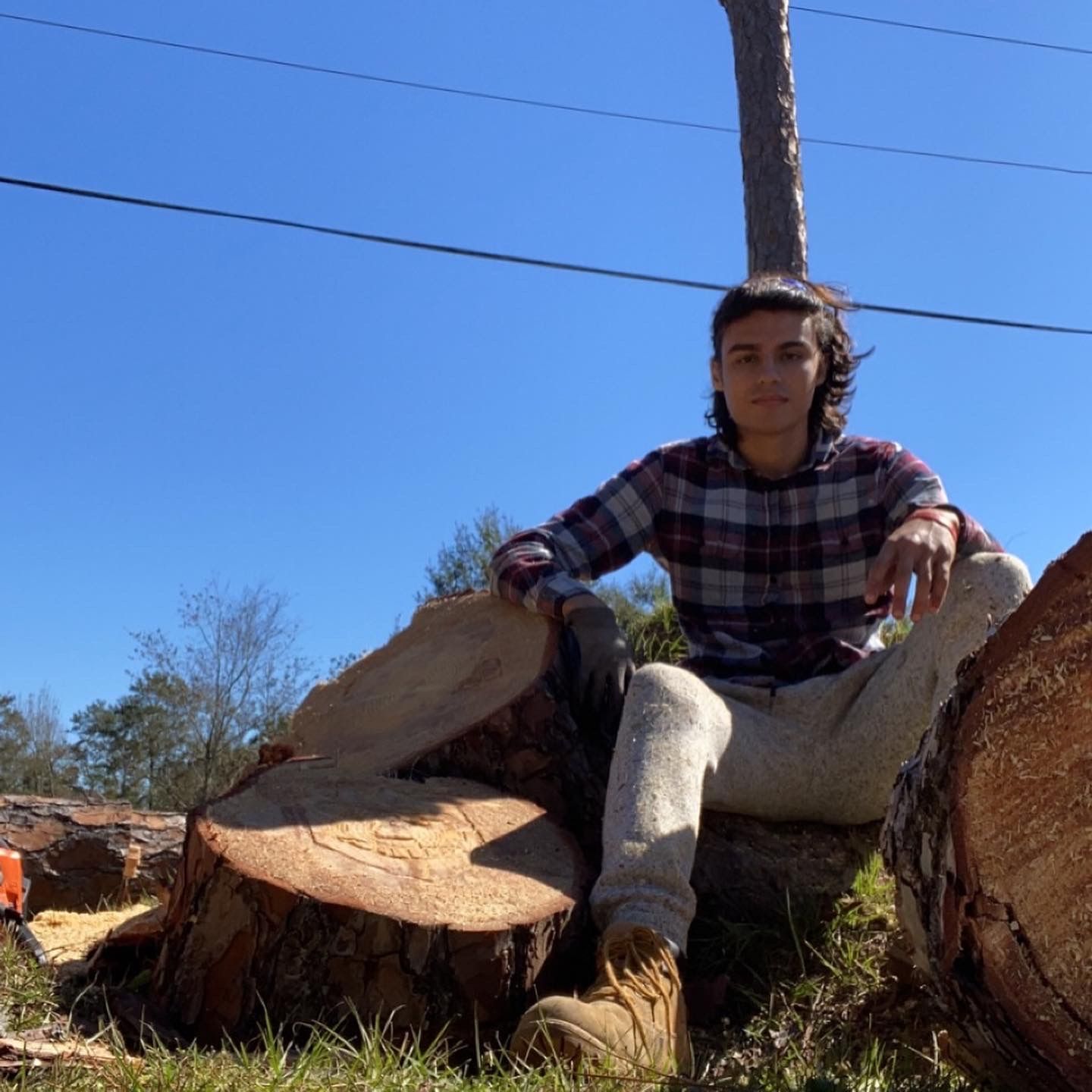  for Professional Tree Service USA in Chattanooga, TN