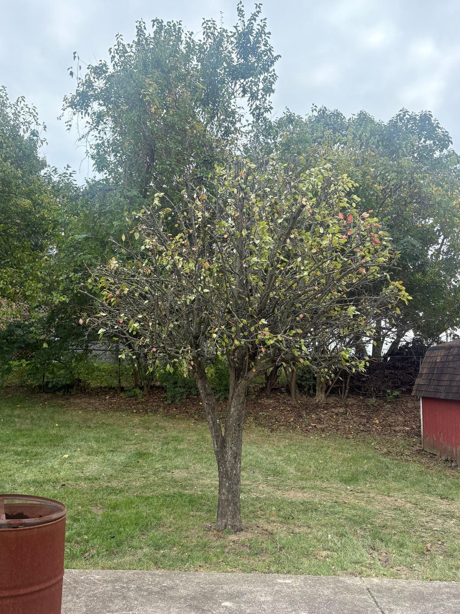  for Dig-It Tree Company in , 