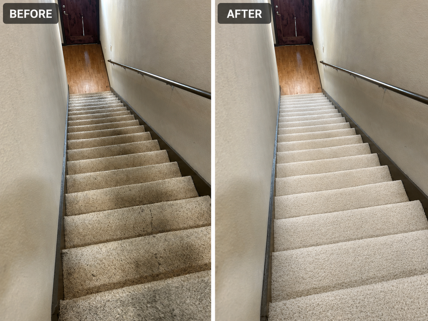  for Cleaning Carolina’s LLC in Greensboro, NC