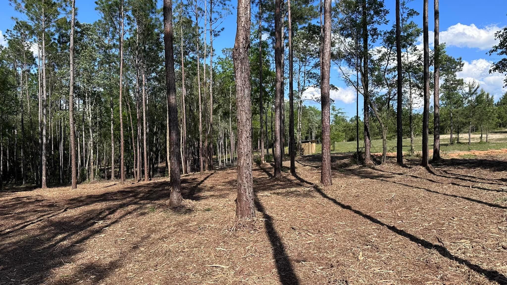 All Photos for White’s Land Maintenance in Milton,, FL