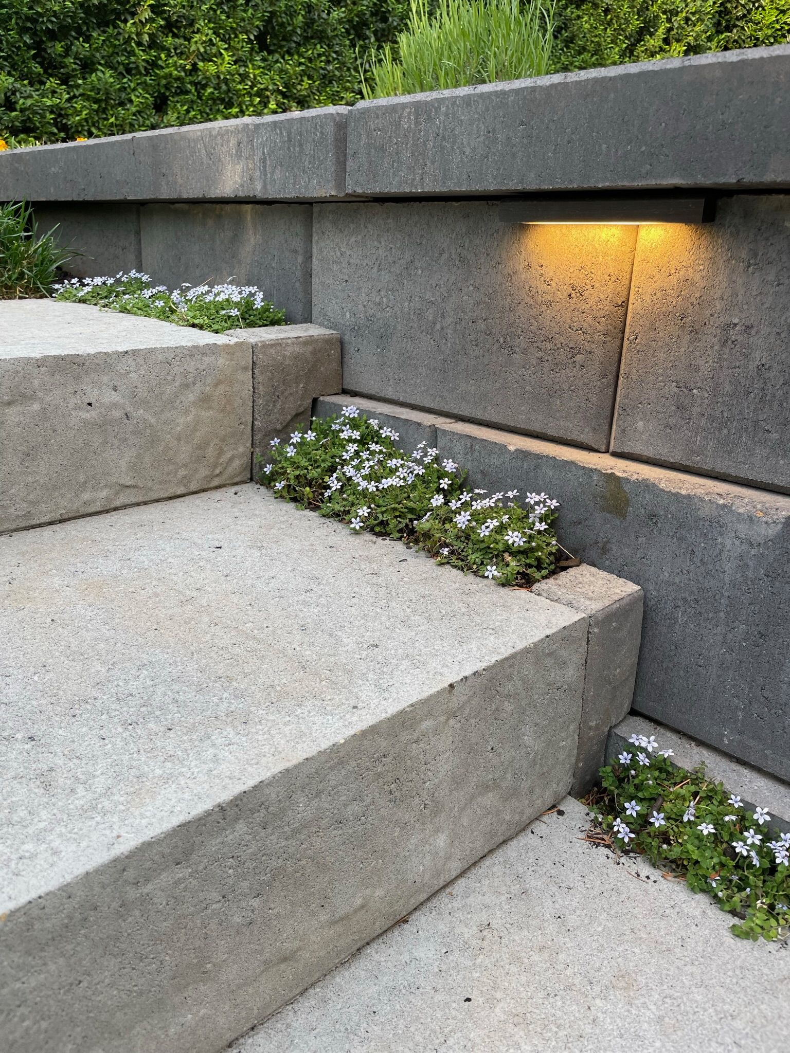  for Courtney Lewis Landscape Design in Portland, OR