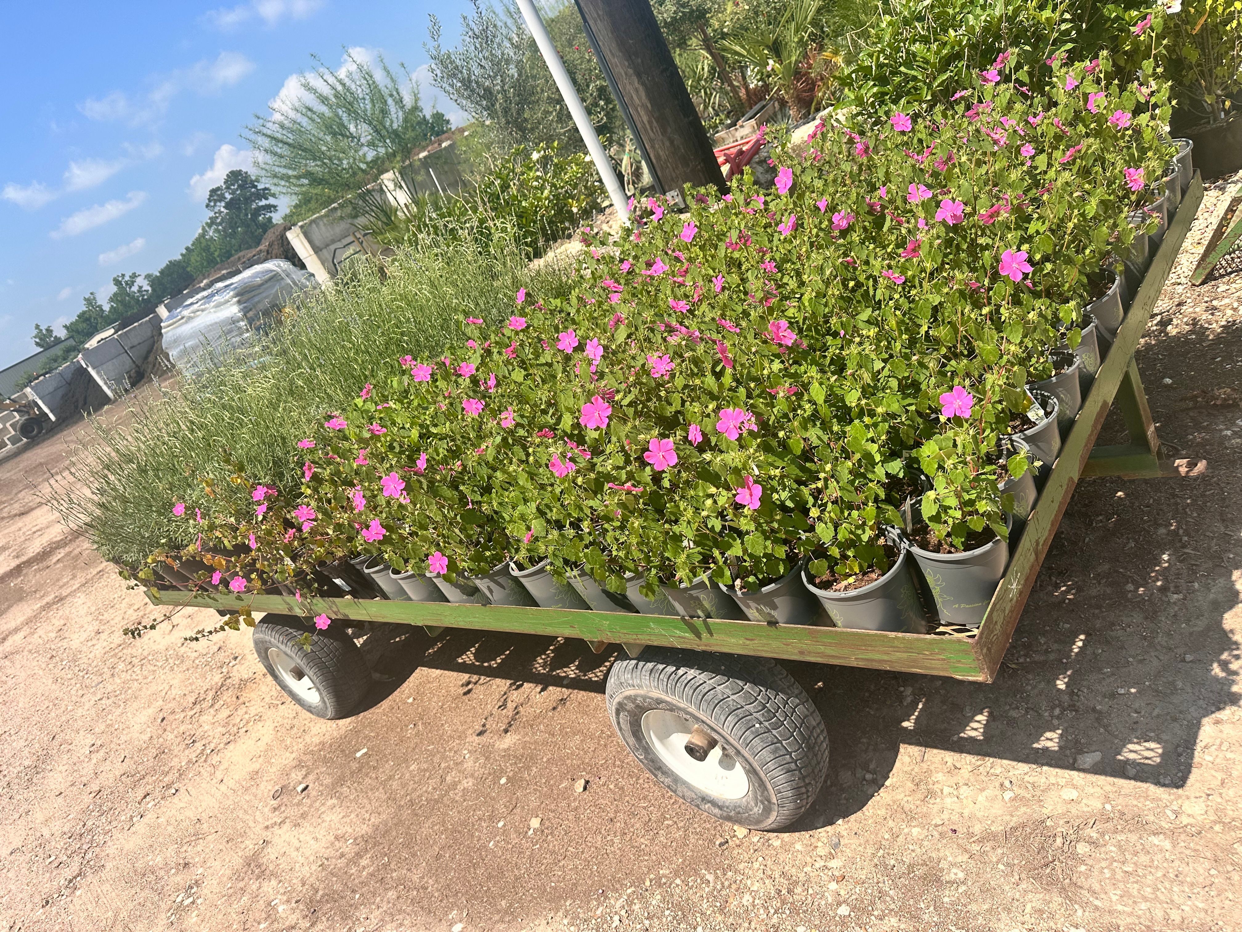 All Photos for Atlas Land Design in Creekside Park, TX