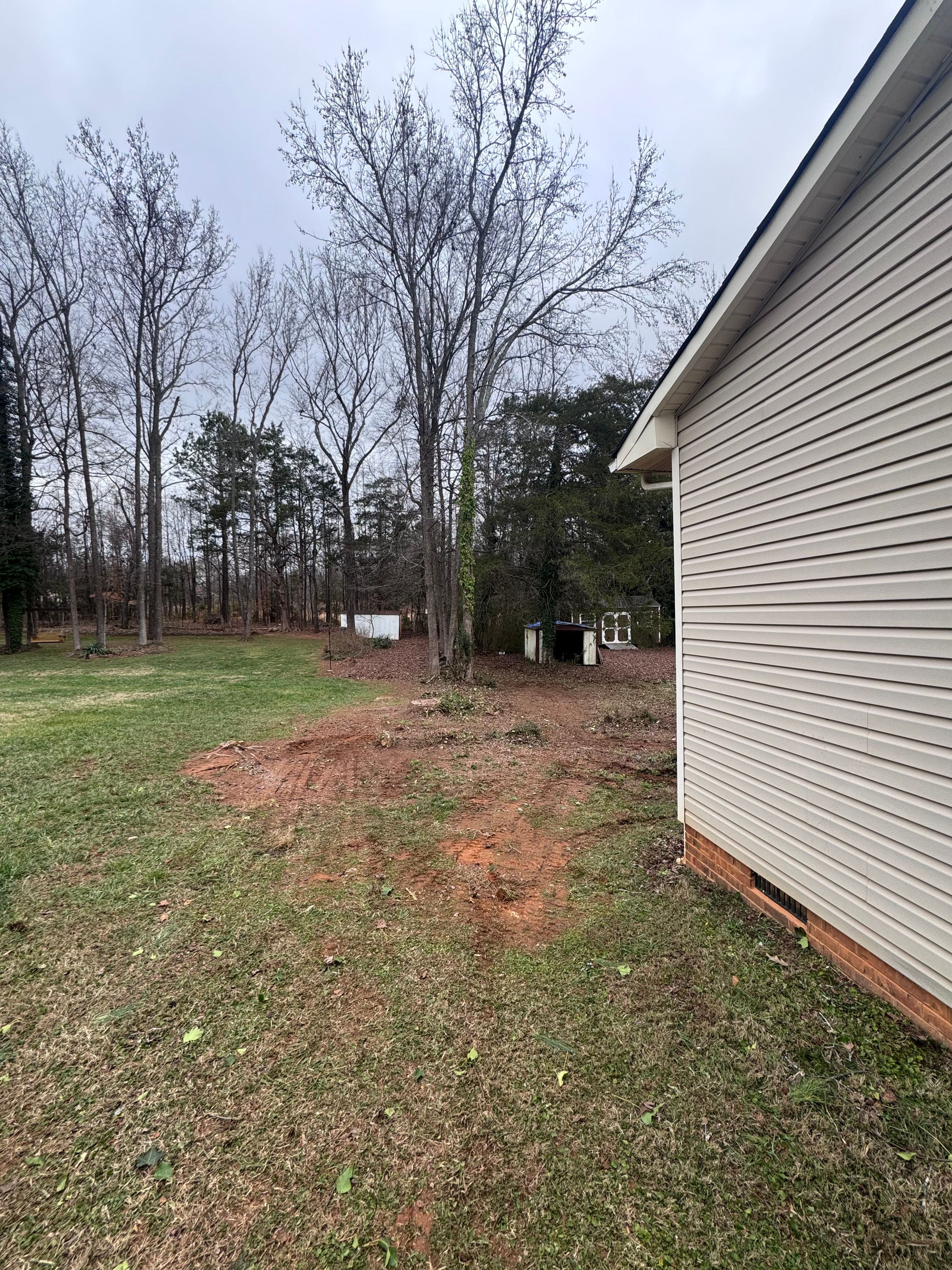 Tree Removal for Diversified Tree Company in Trinity, NC