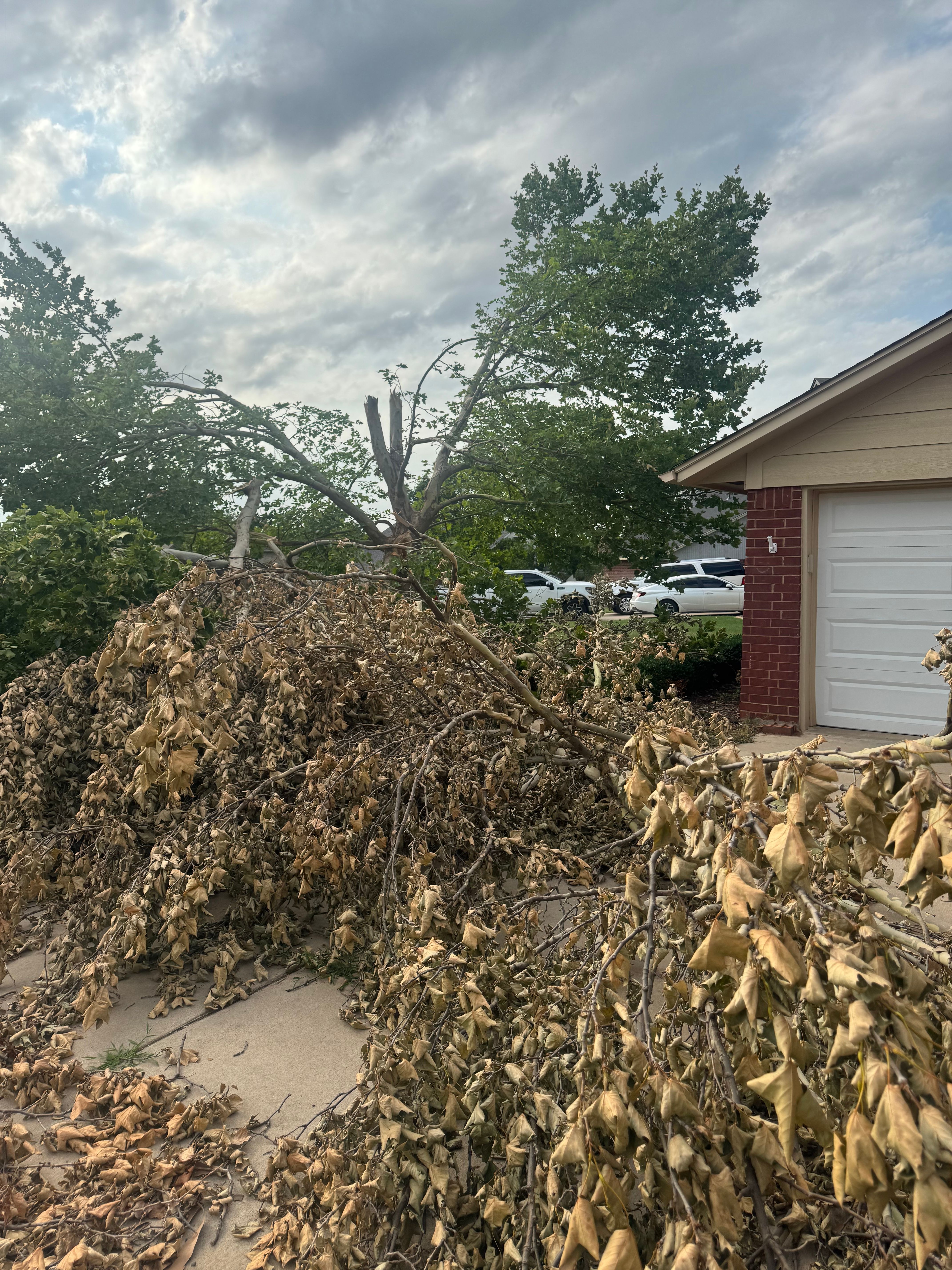  for Vaughan Land Management  in Lawton, OK