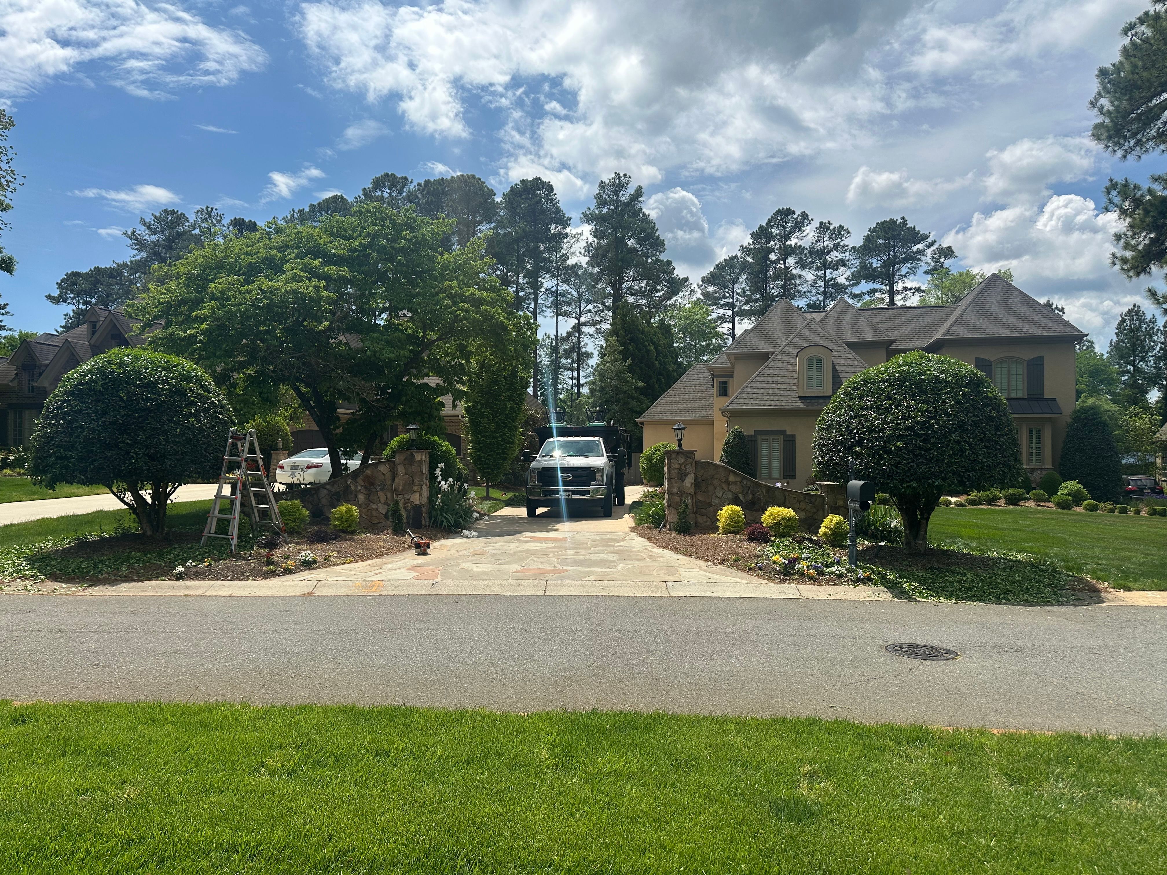  for Pecina Pine Needles in Monroe, NC