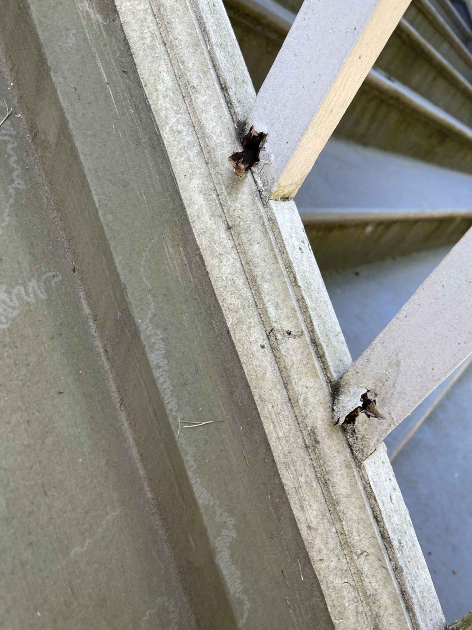  for Tony's Remodeling & Painting in Renton, WA