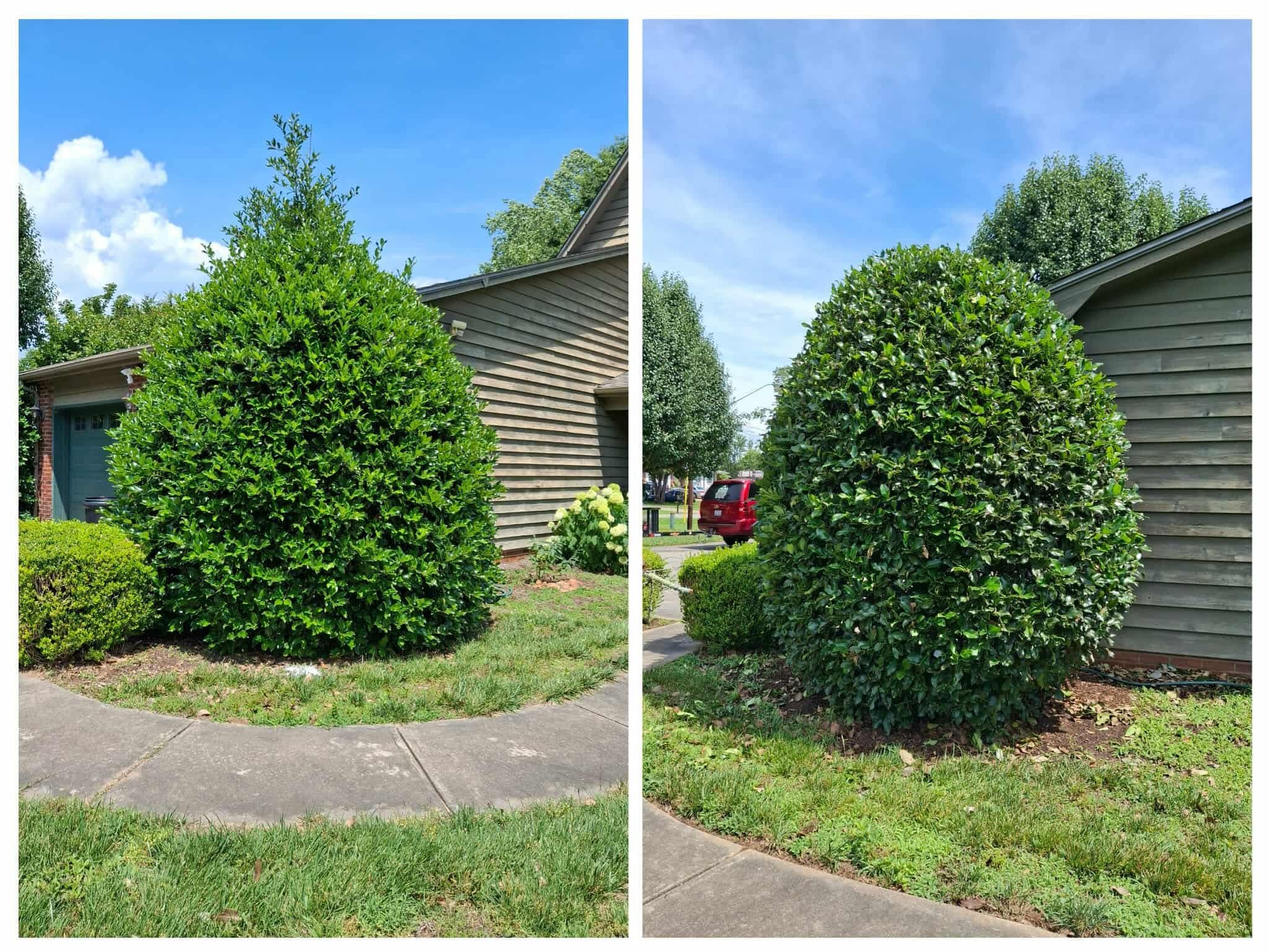  for Stick’s Paint & Garden Maintenance in Morganton, NC