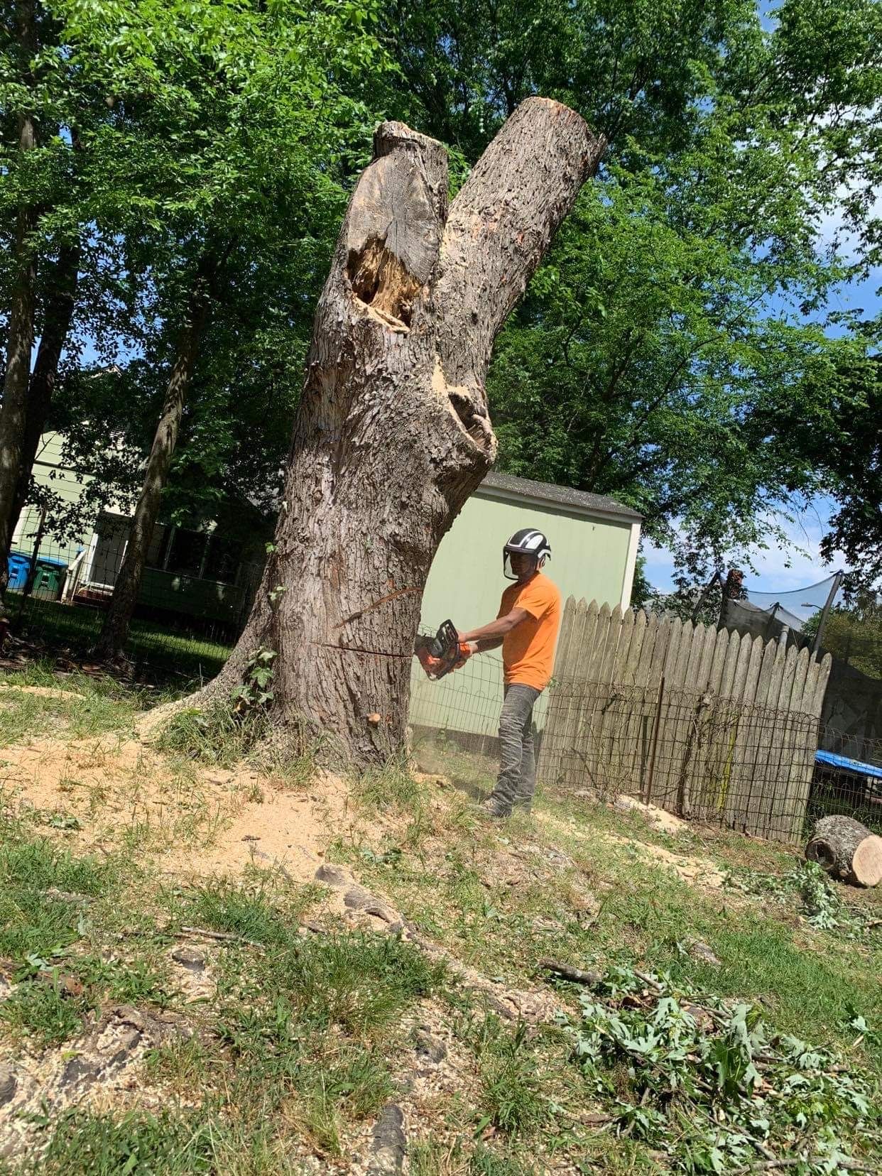  for Stem Tree Service in Belmont, NC