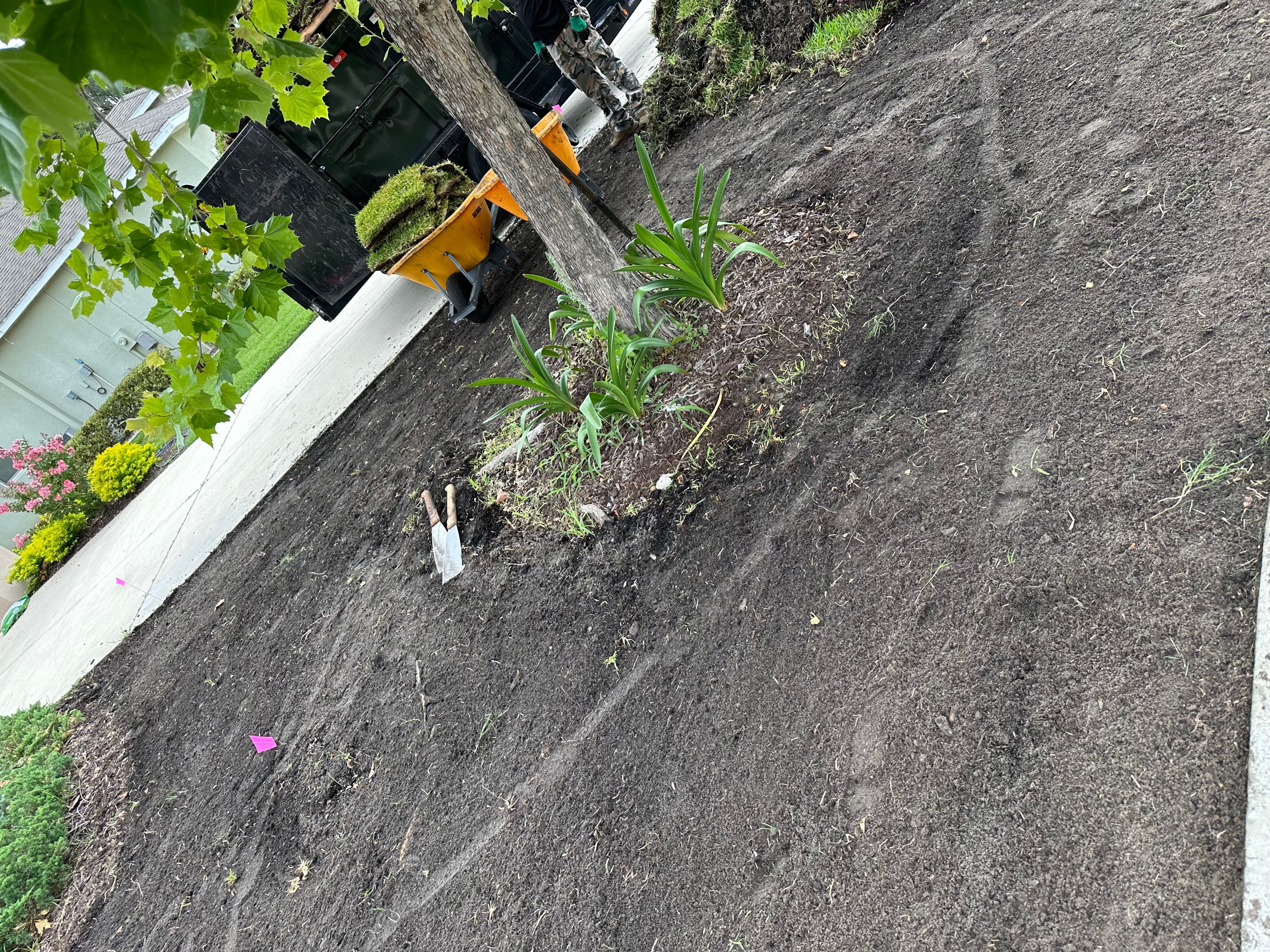  for Gulf Bay Sod in Clearwater, FL