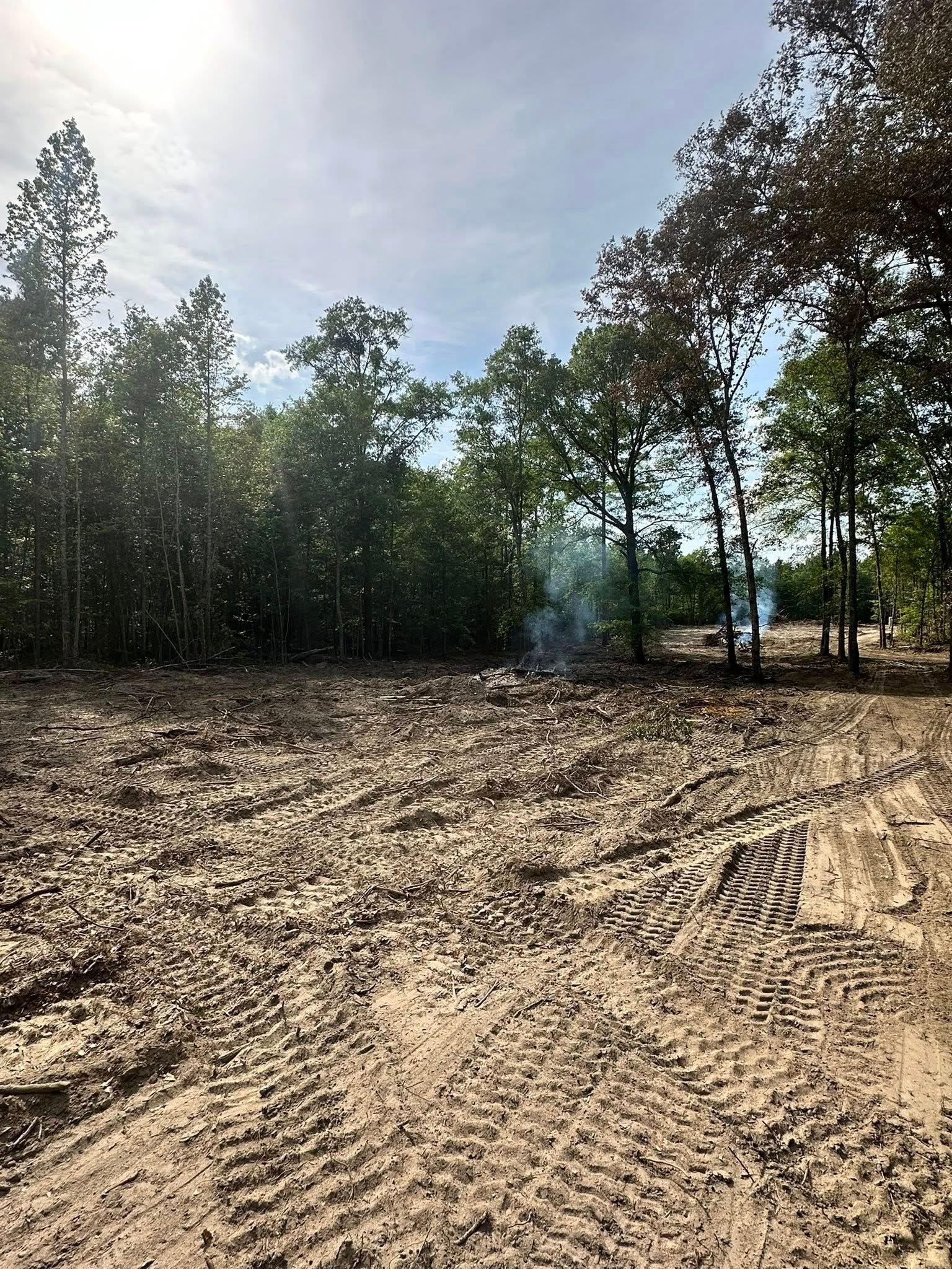 Tree Removal for Page Outdoor Services in Wrightsville, GA
