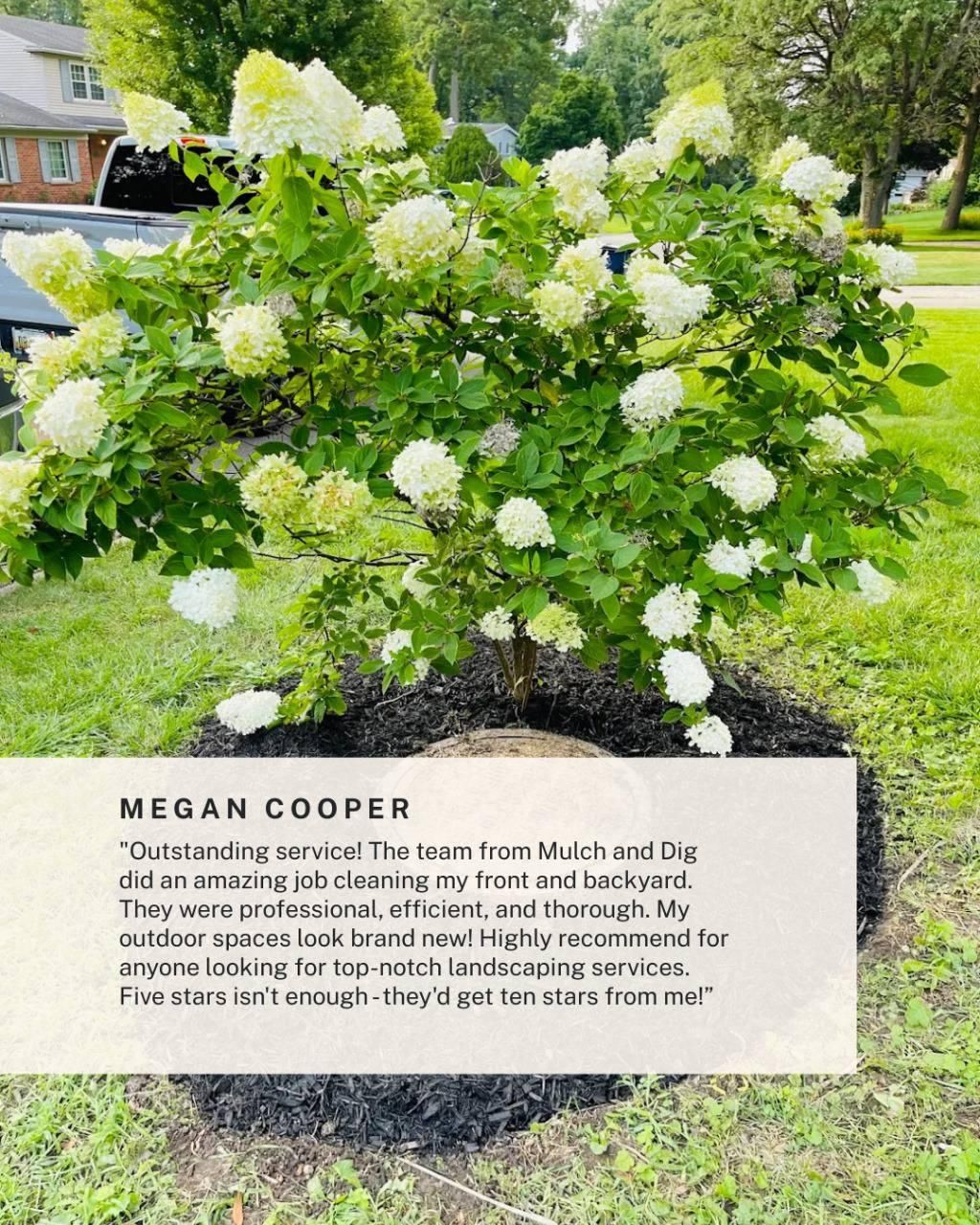  for Mulch & Dig in West Bloomfield Township, MI