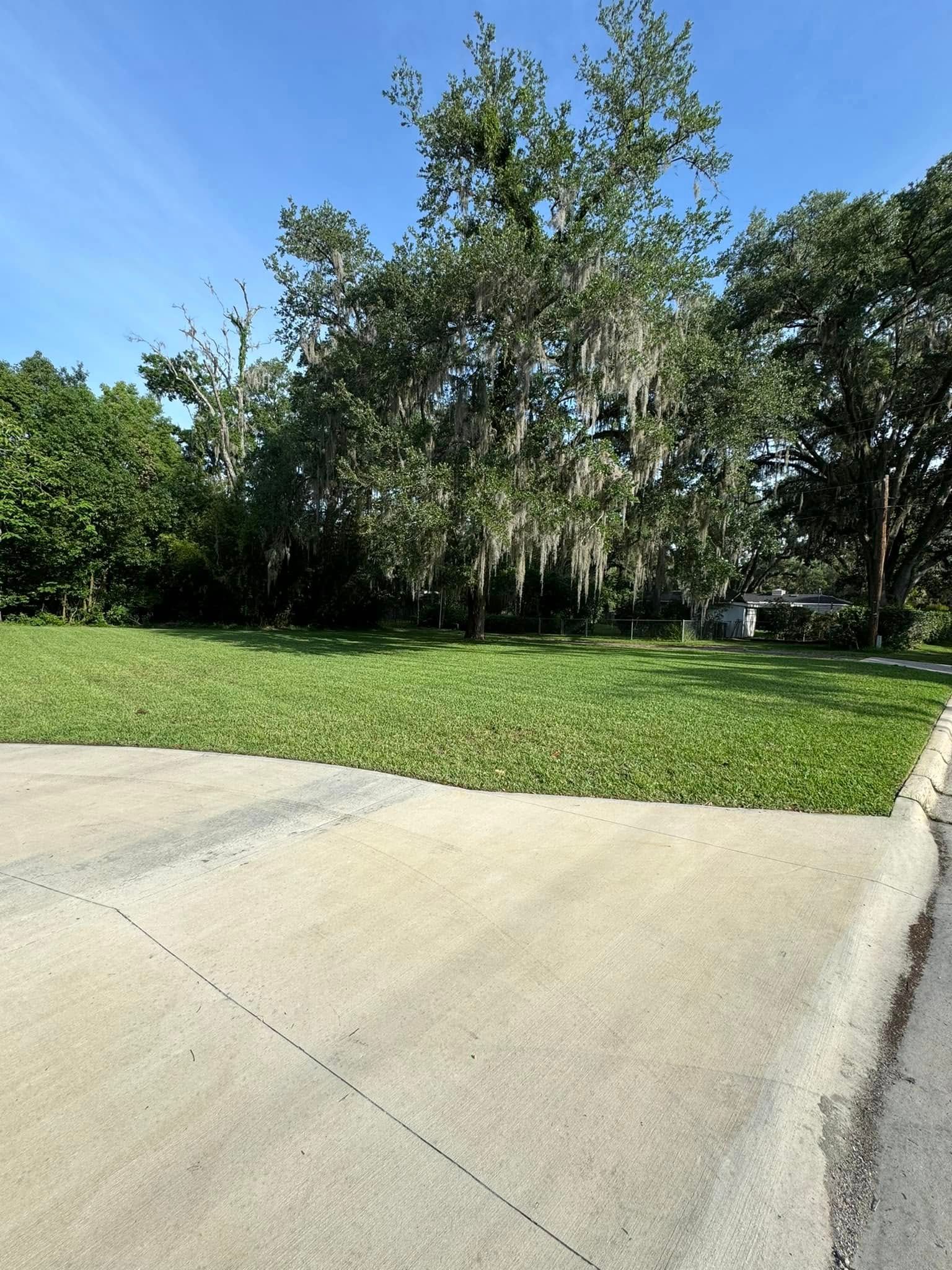 All Photos for Young's Lawn Services LLC in Ocala, FL