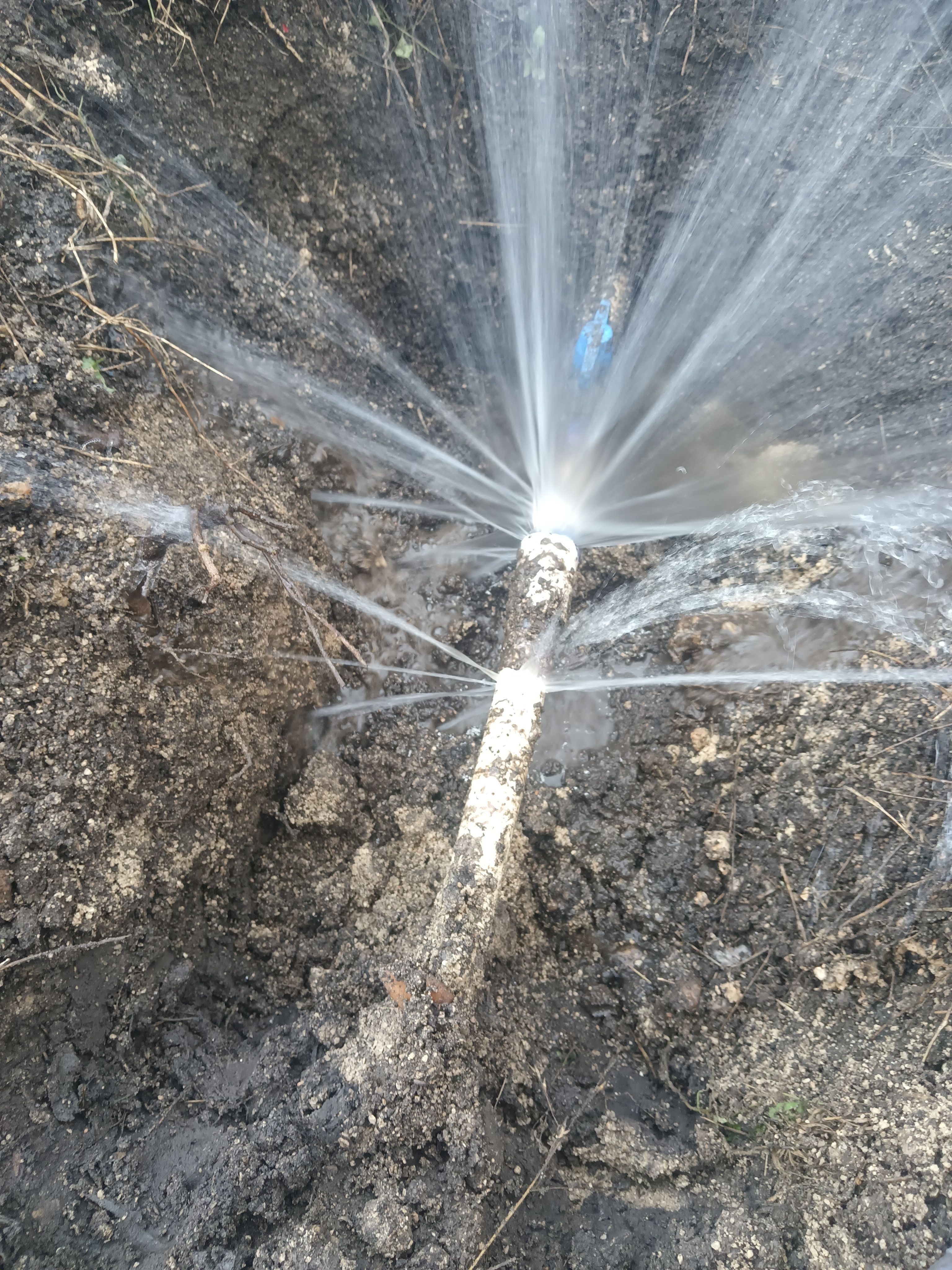  for Arreola Irrigation Repair in Bexar County, TX