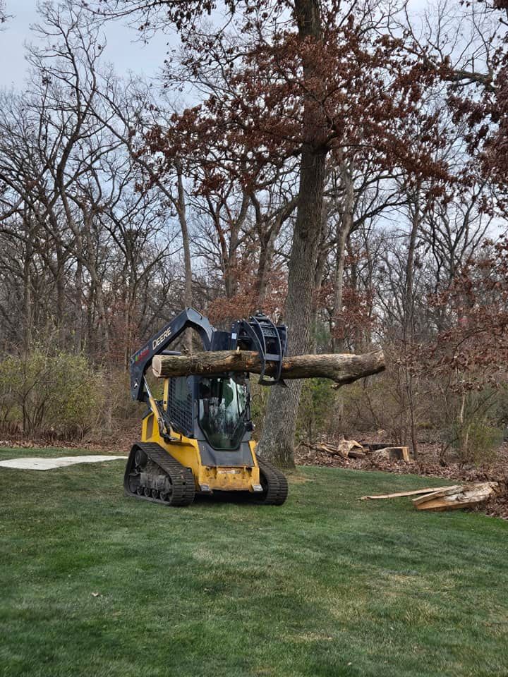 Tree Removal for Olson Tree Service, Inc in Winnebago County, IL