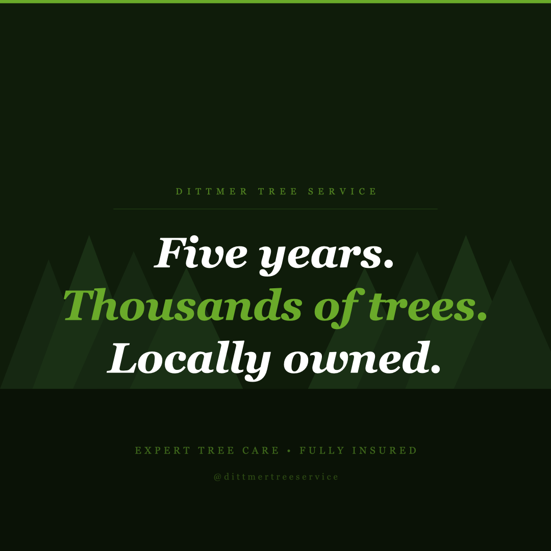 All Photos for Dittmer Tree Service in Davenport, IA