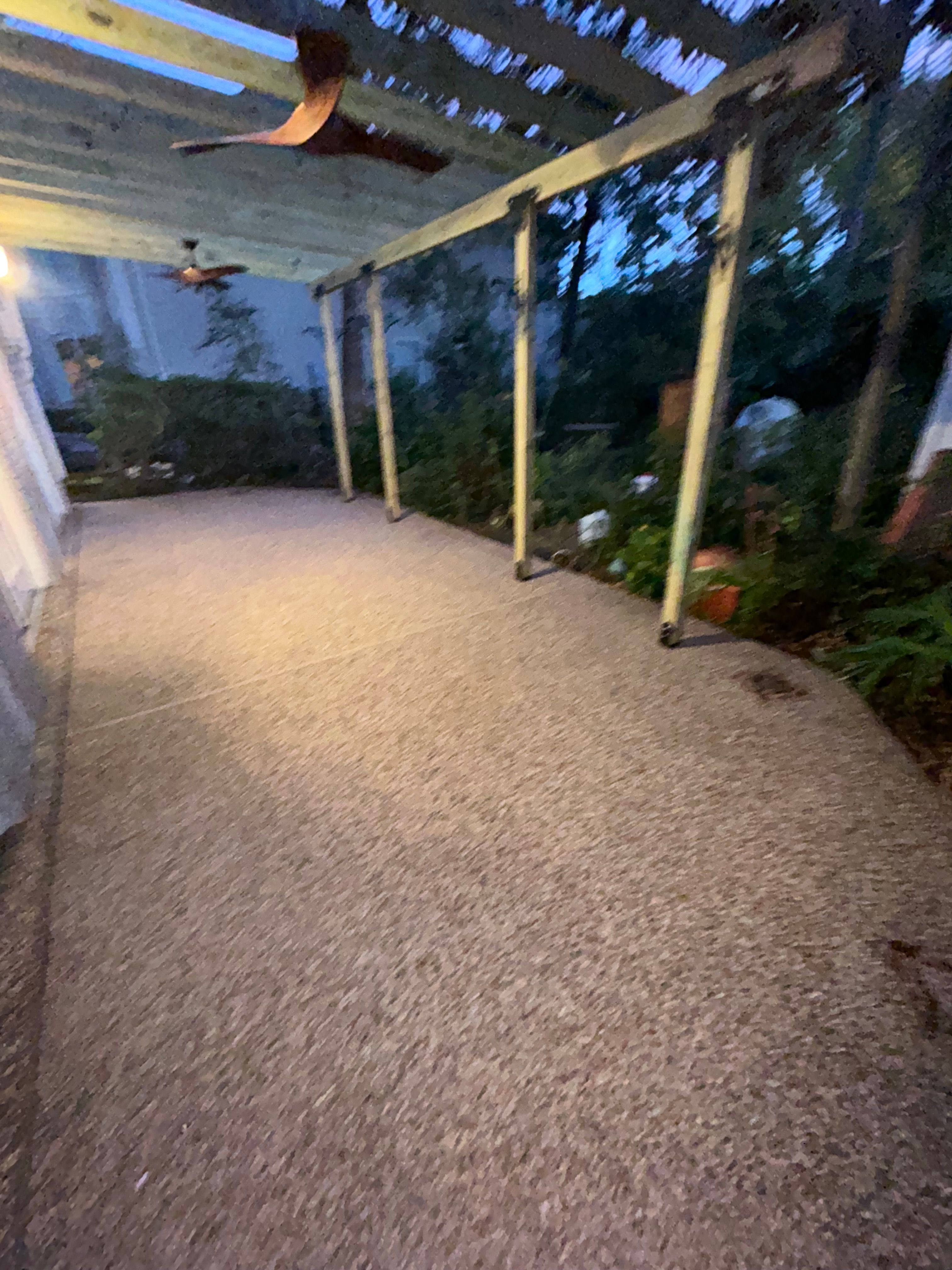  for Everyday Pressure Washing in The Woodlands, TX
