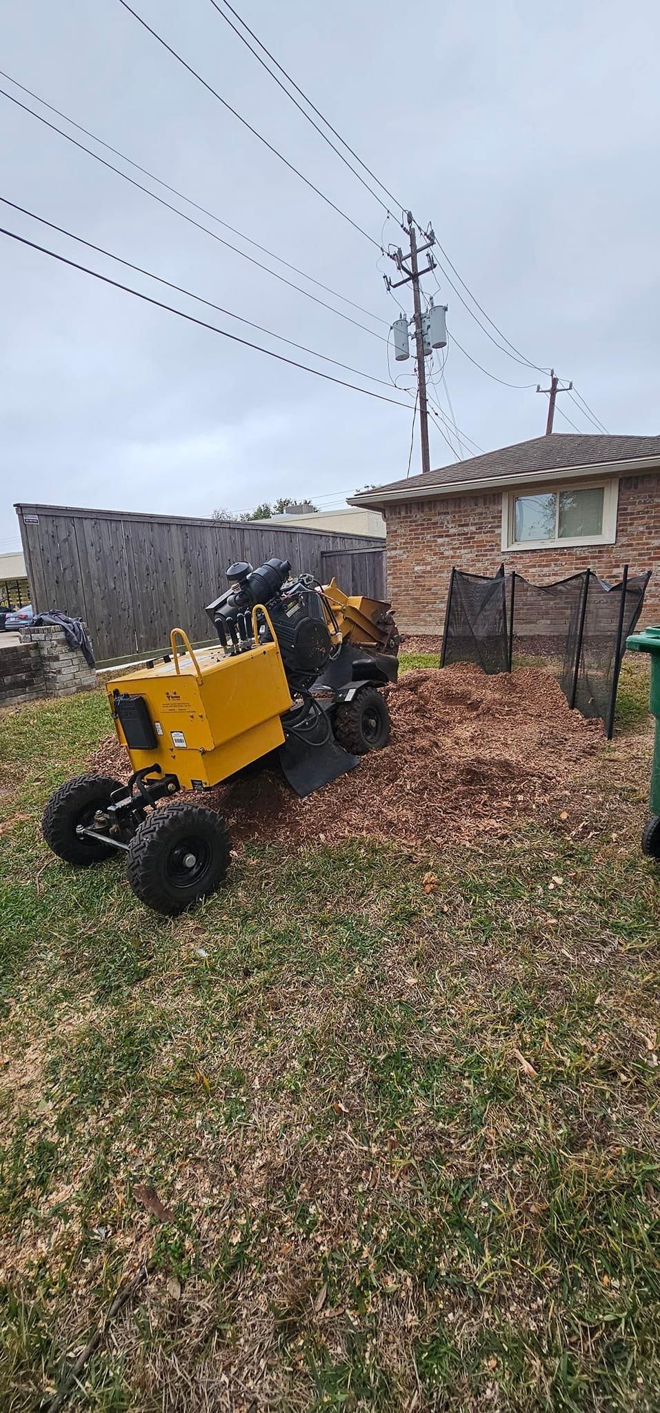  for Servin's Tree Care  in Houston, TX